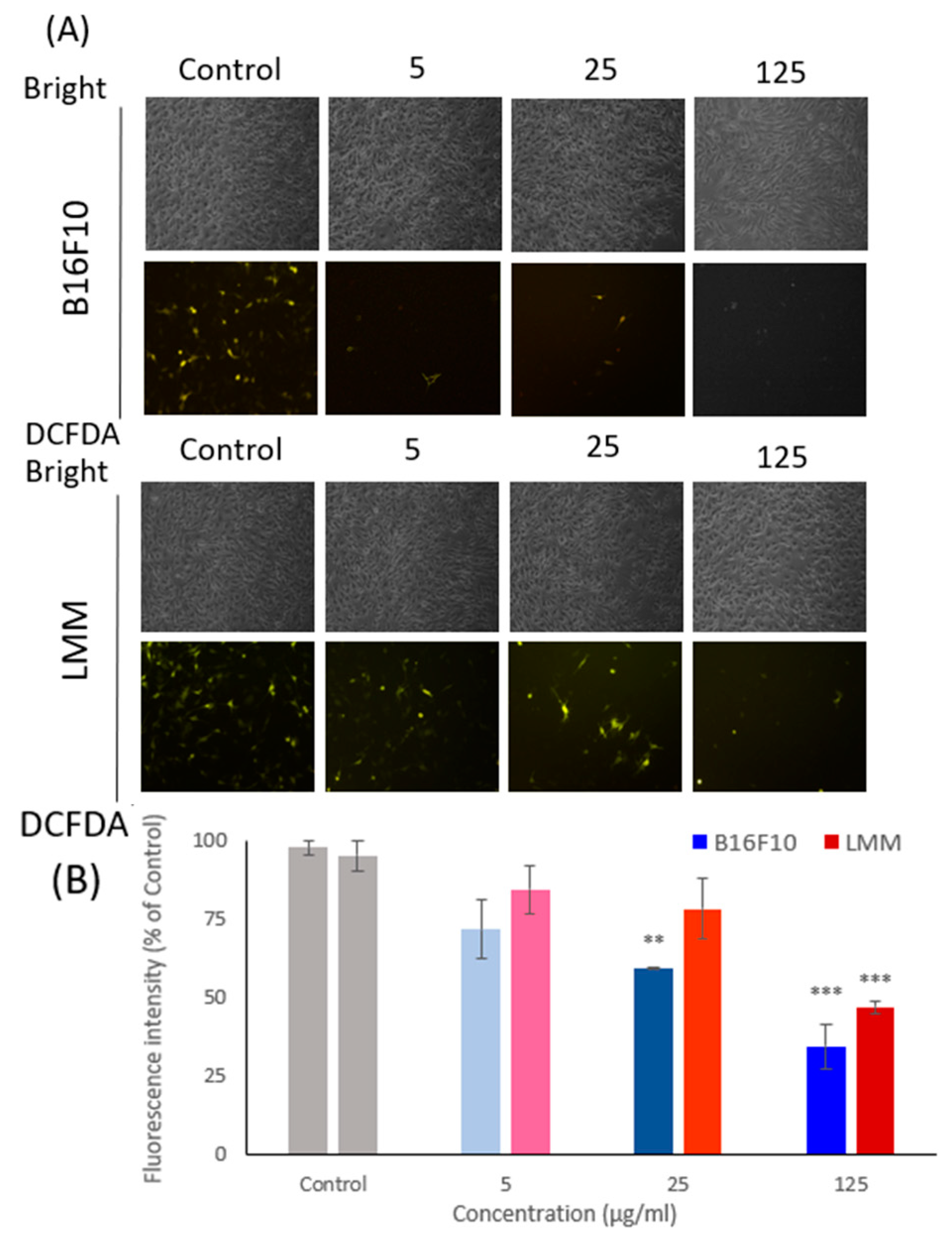 Antioxidants 11 01502 g003