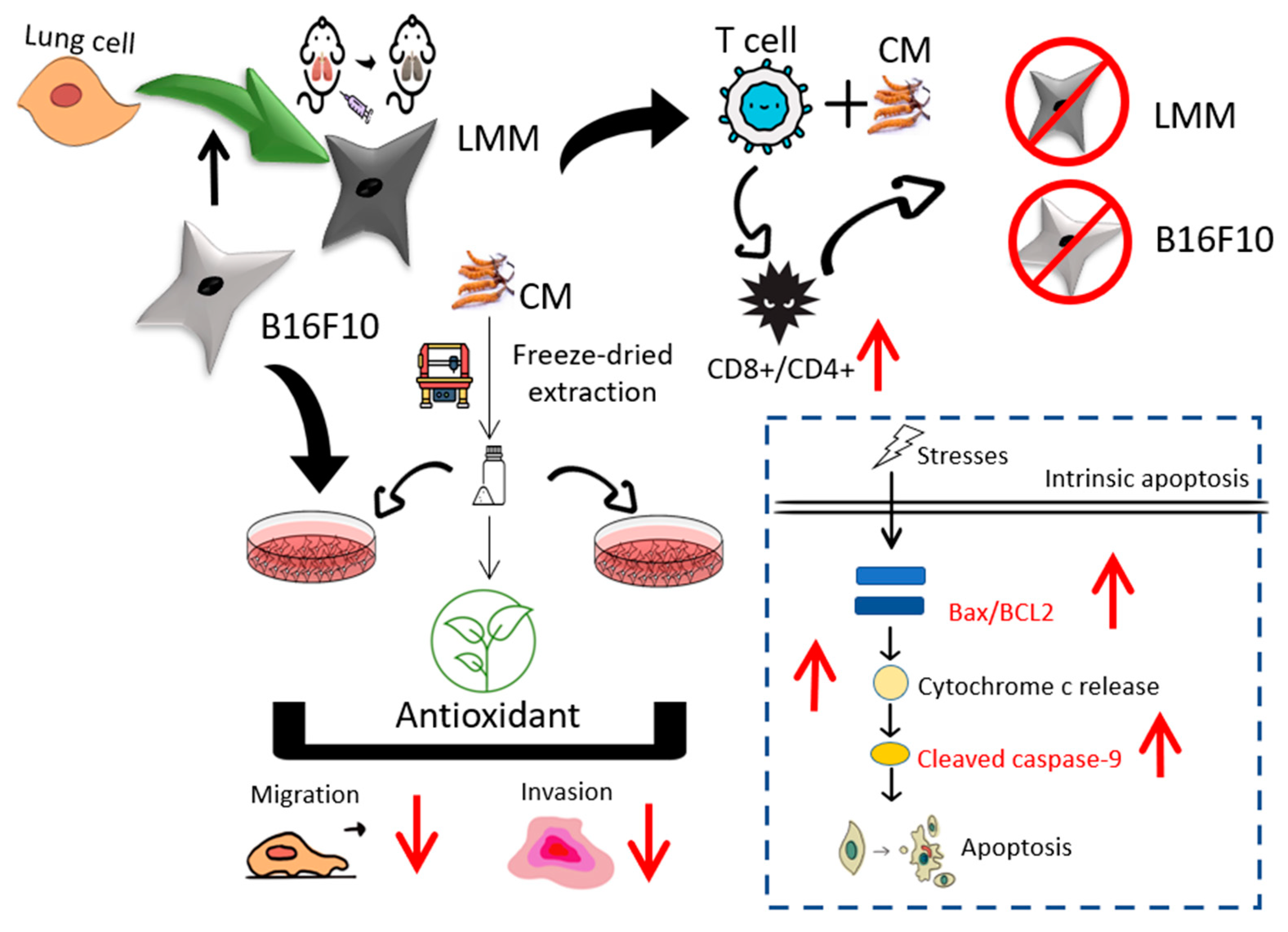 Antioxidants 11 01502 g006
