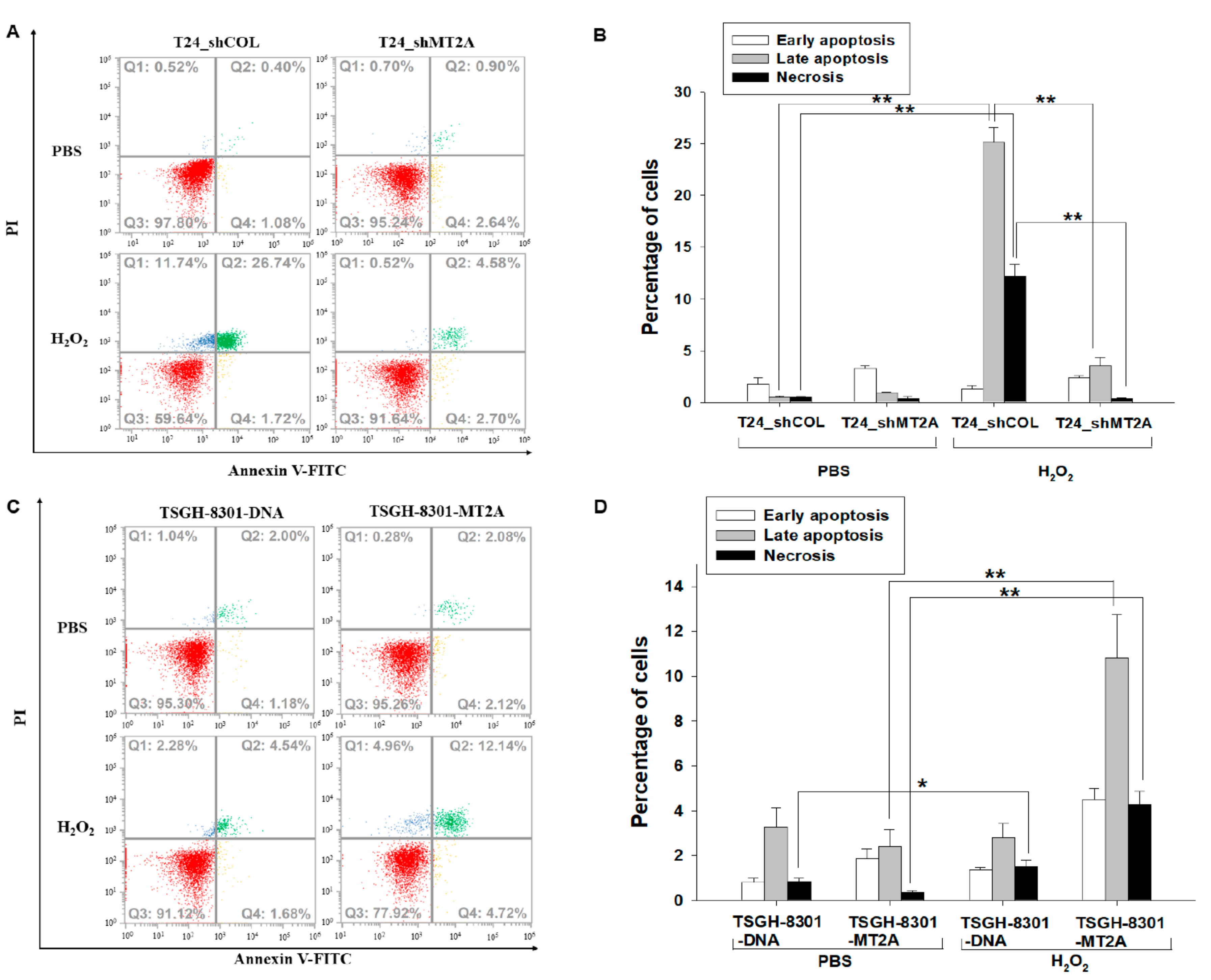 Antioxidants 11 01509 g003