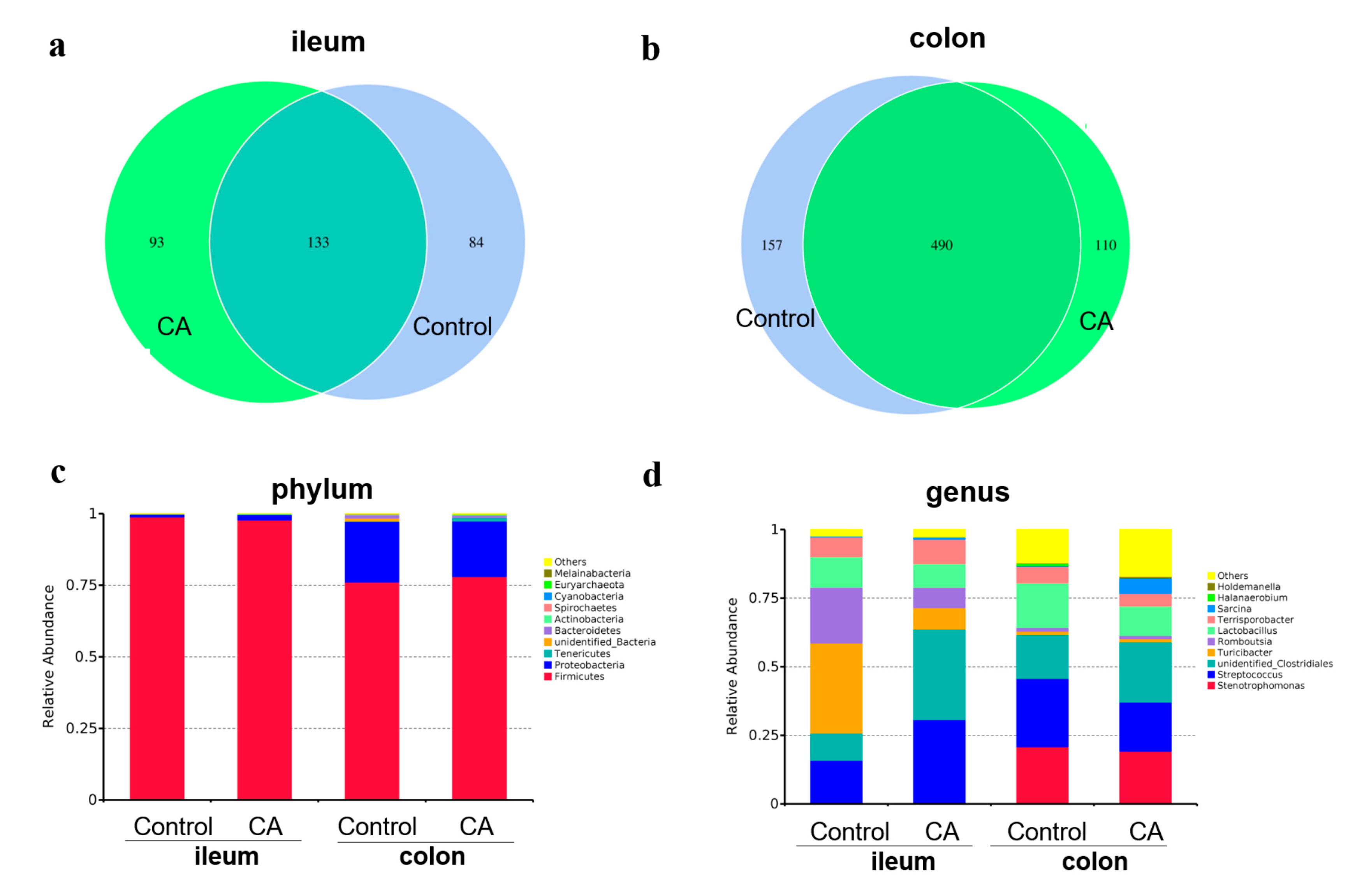 Antioxidants 11 01510 g004