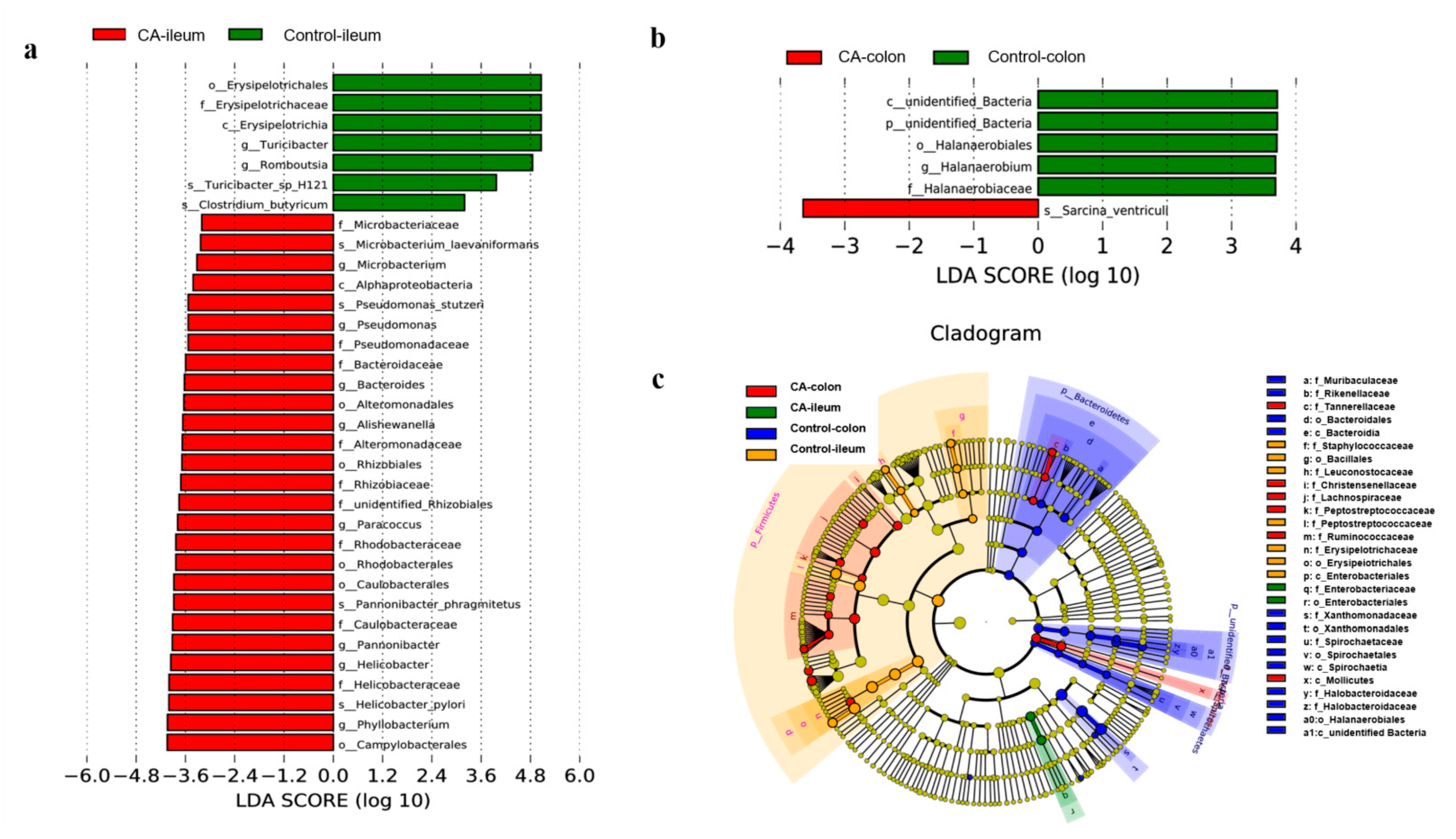 Antioxidants 11 01510 g006