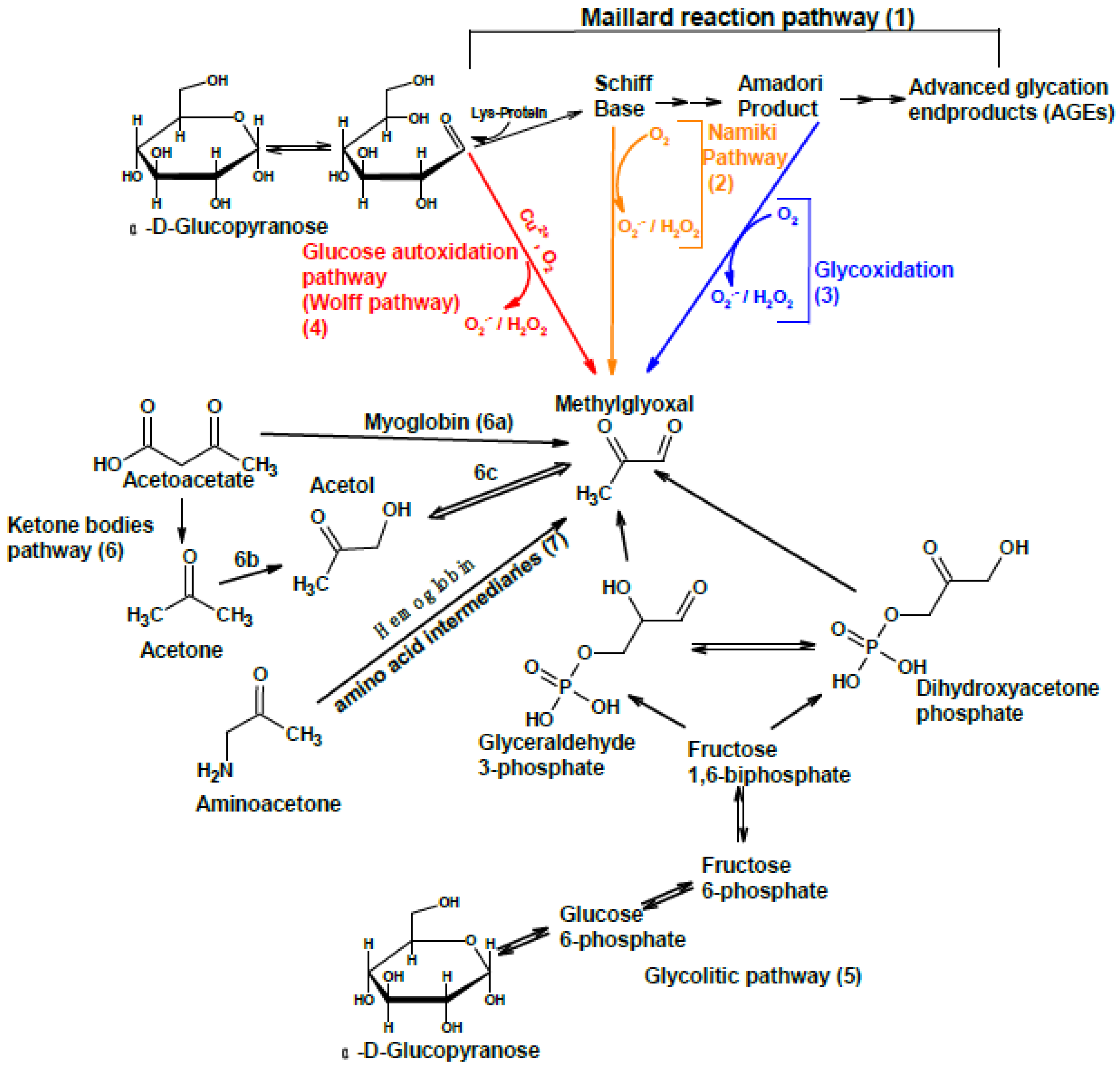 Antioxidants 11 01513 g002 Antioxidants 11 01513 g002
