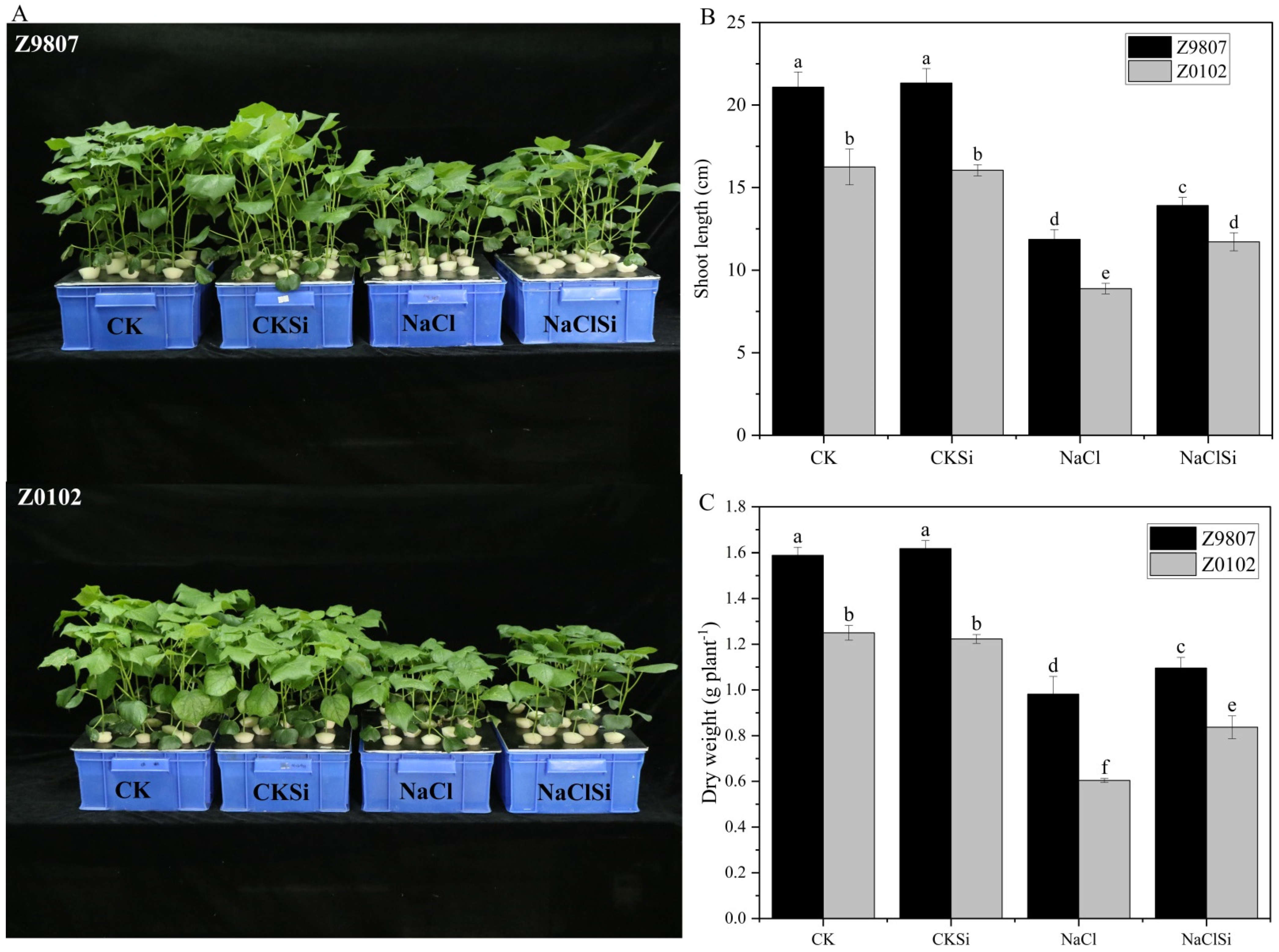 Antioxidants 11 01520 g001 550