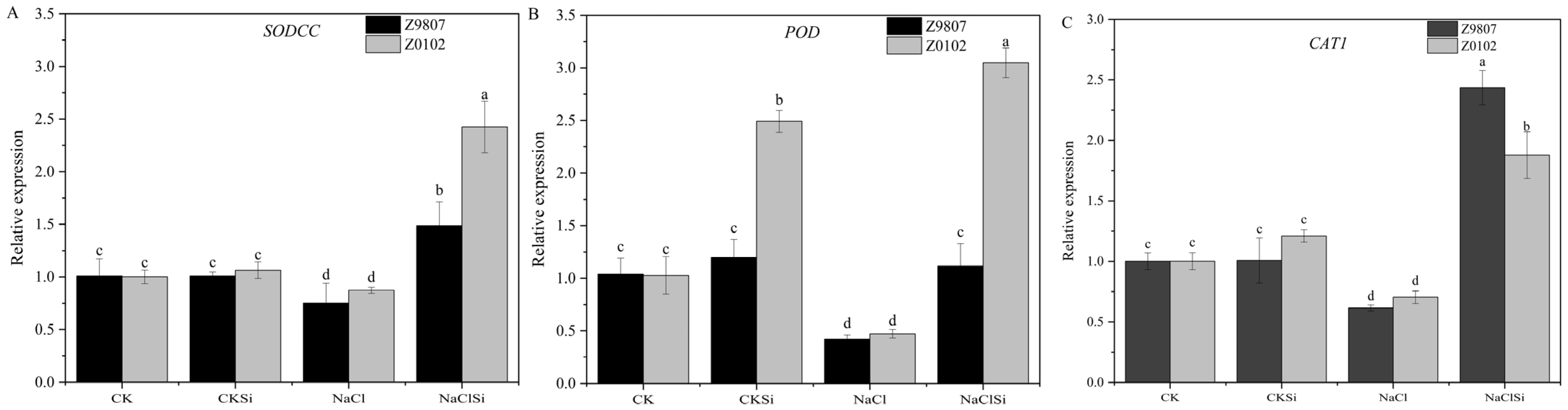 Antioxidants 11 01520 g005 550