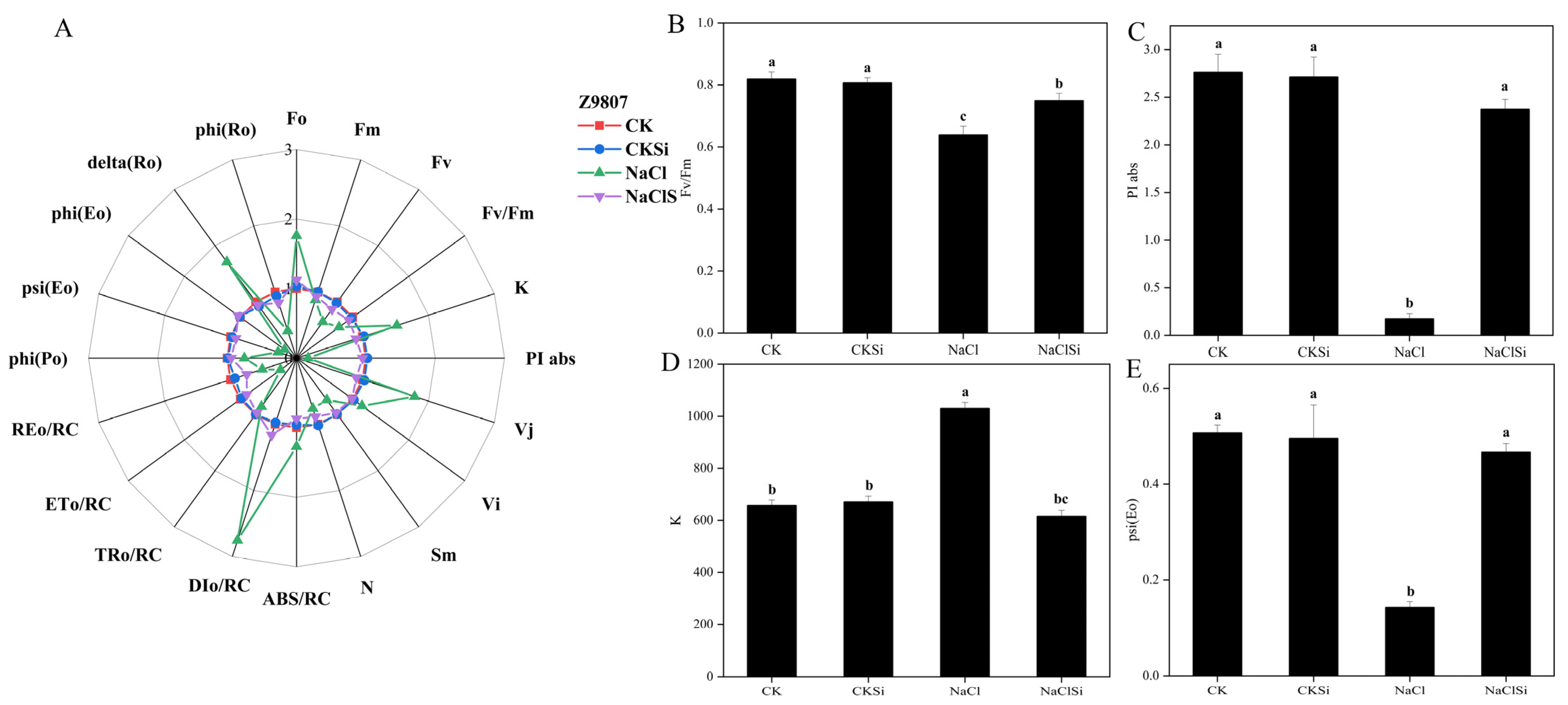 Antioxidants 11 01520 g009 550