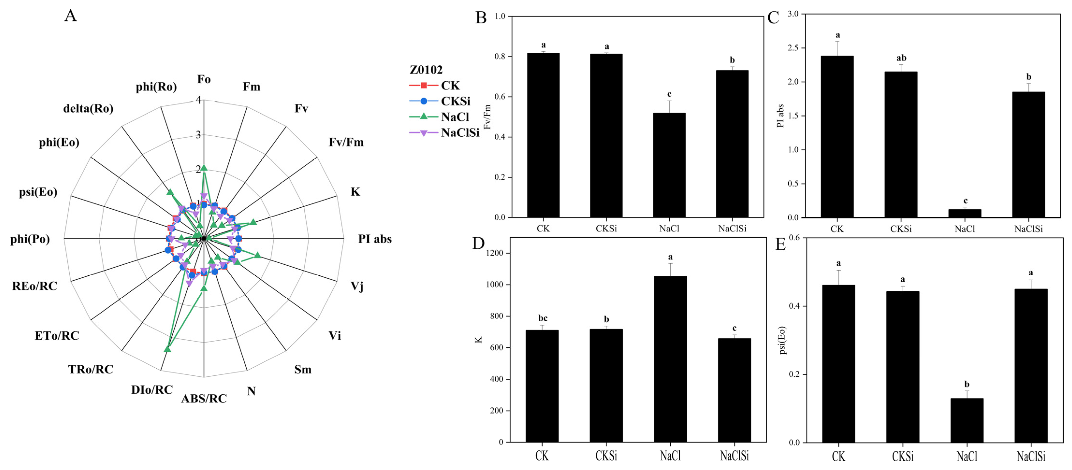 Antioxidants 11 01520 g010 550