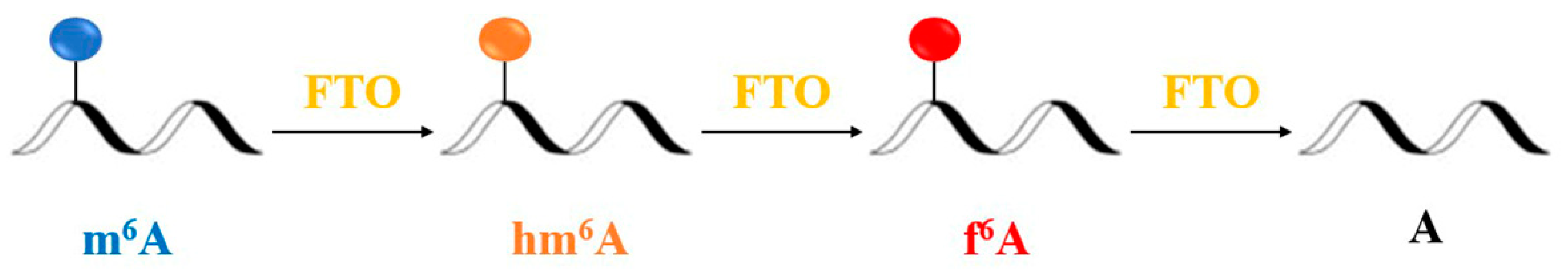 Antioxidants 11 01521 g006