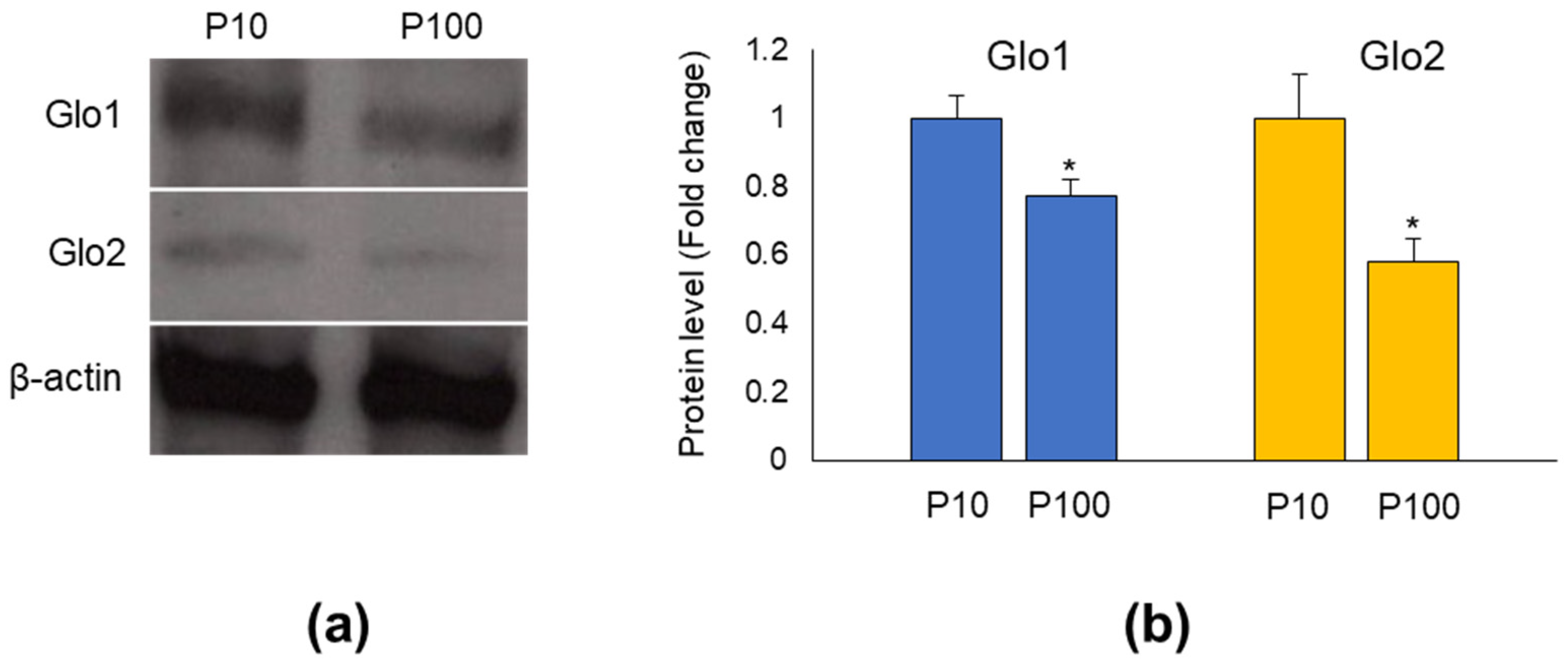 Antioxidants 11 01524 g001 550