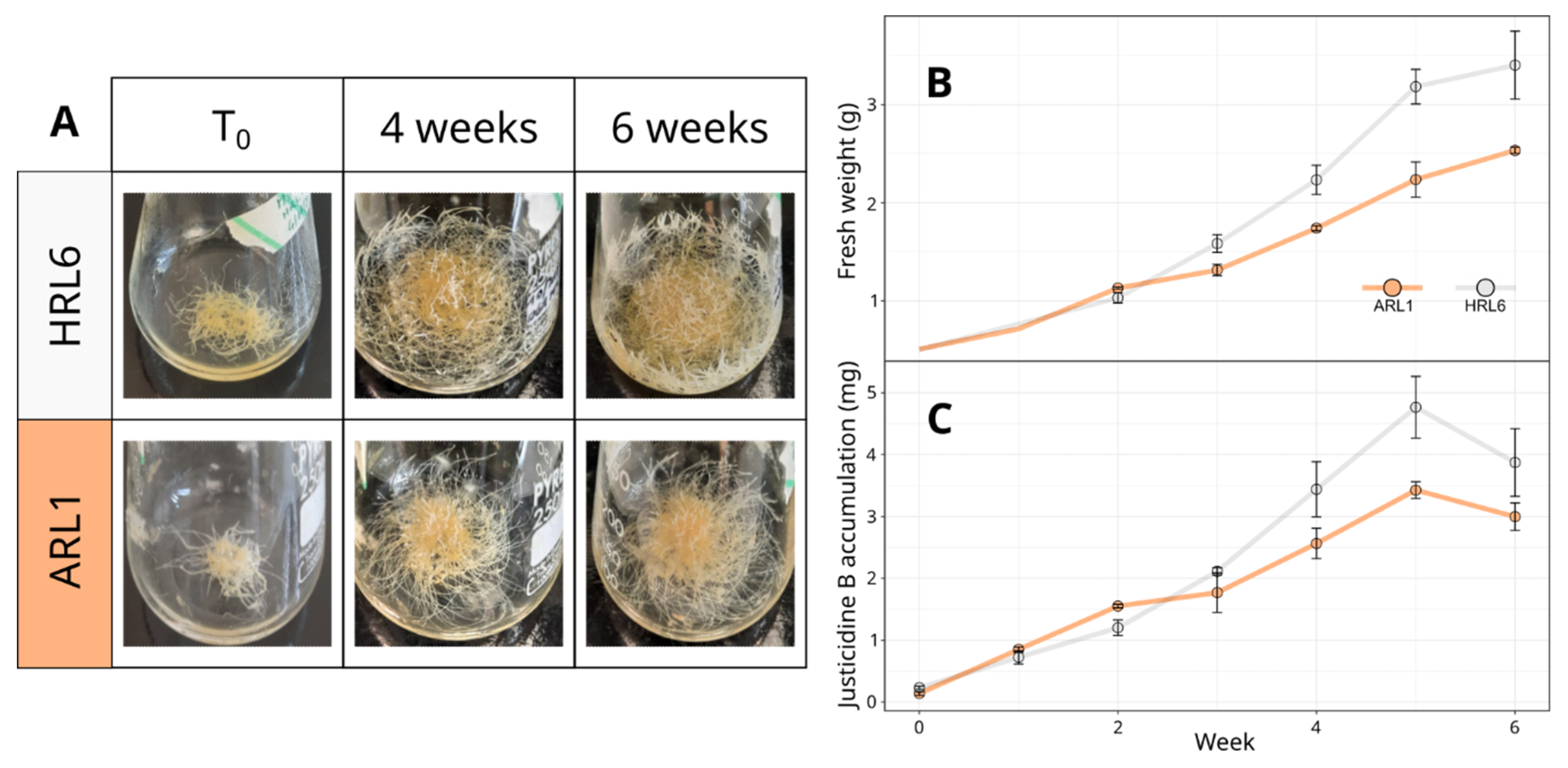 Antioxidants 11 01526 g002 550