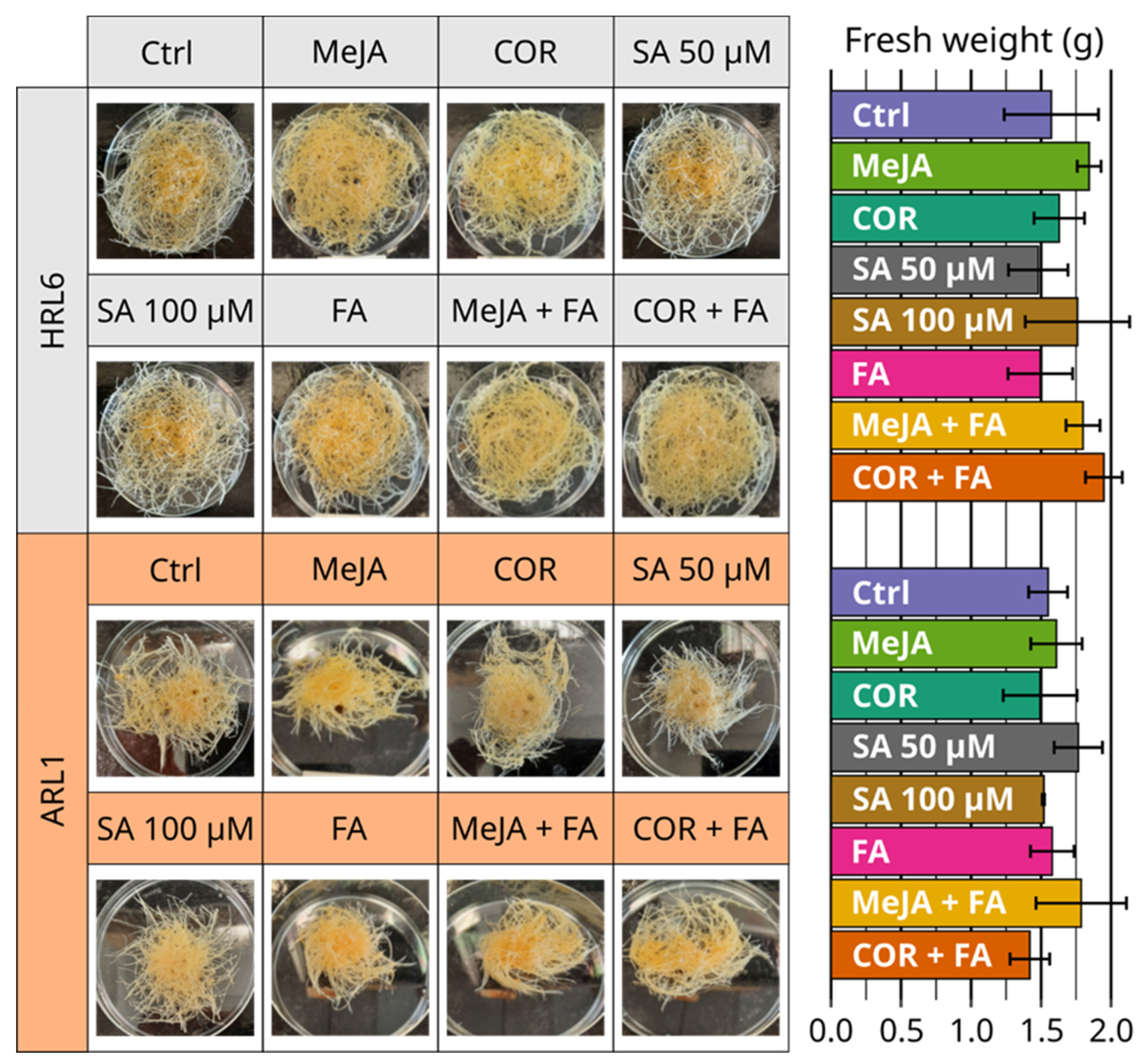 Antioxidants 11 01526 g007 550