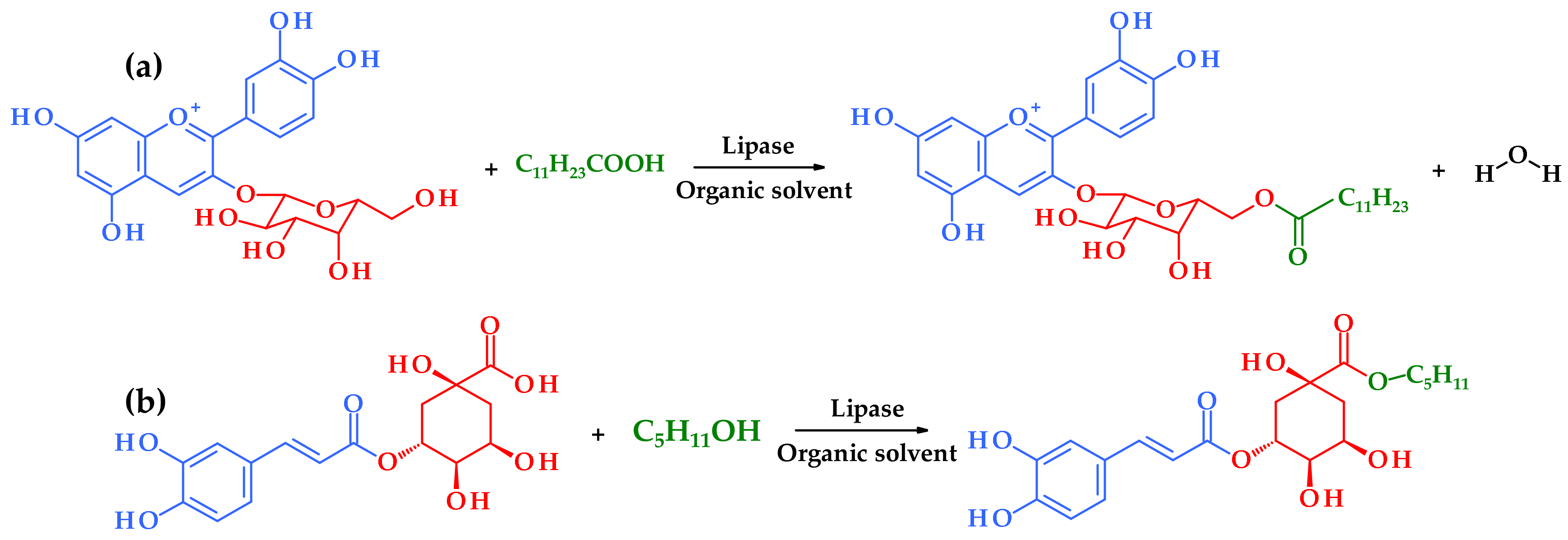 Antioxidants 11 01528 g001