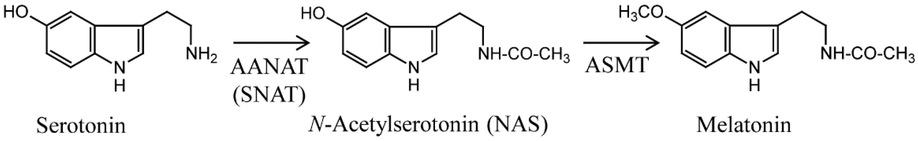 Antioxidants 11 01531 g001