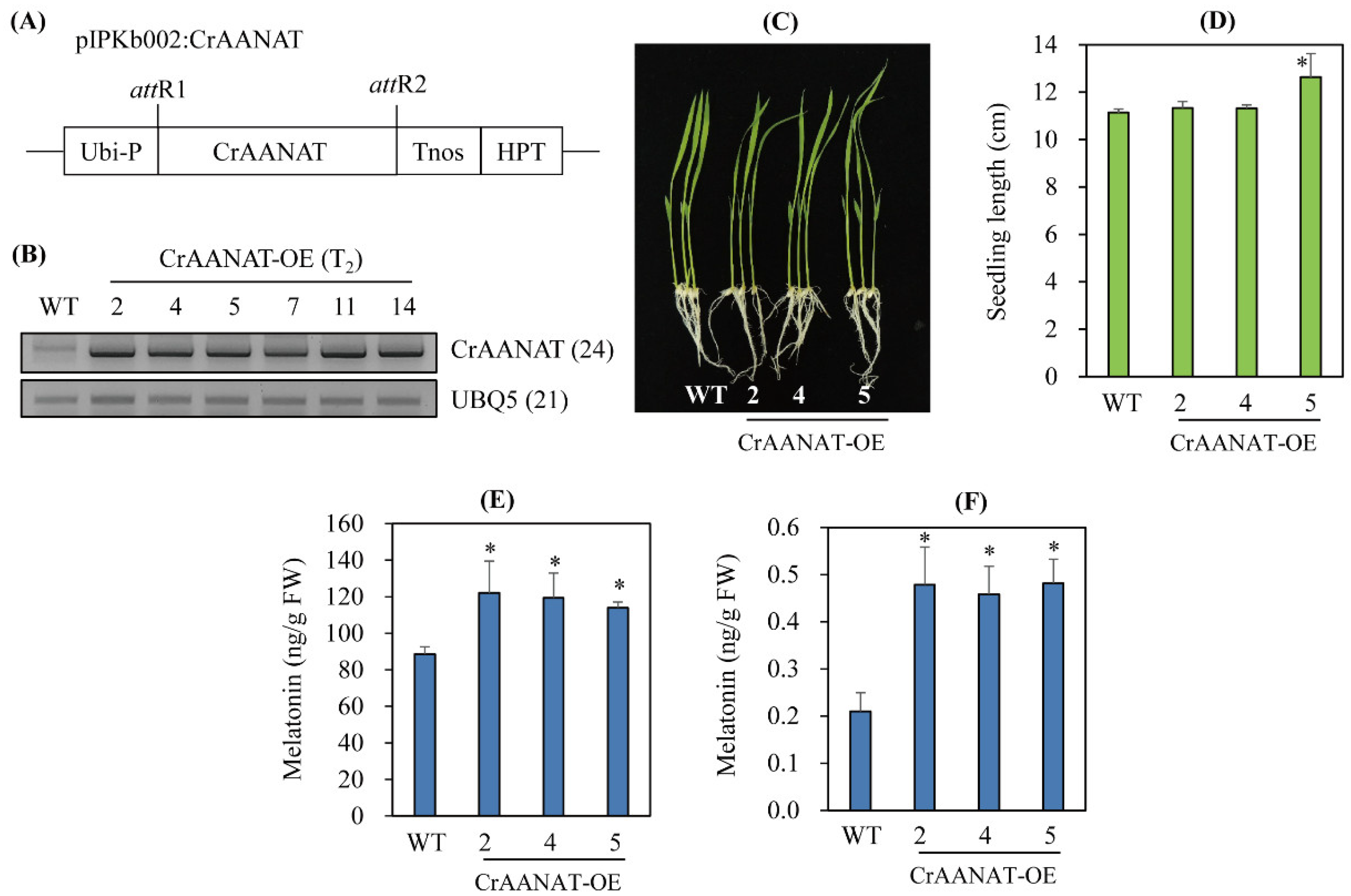 Antioxidants 11 01531 g006