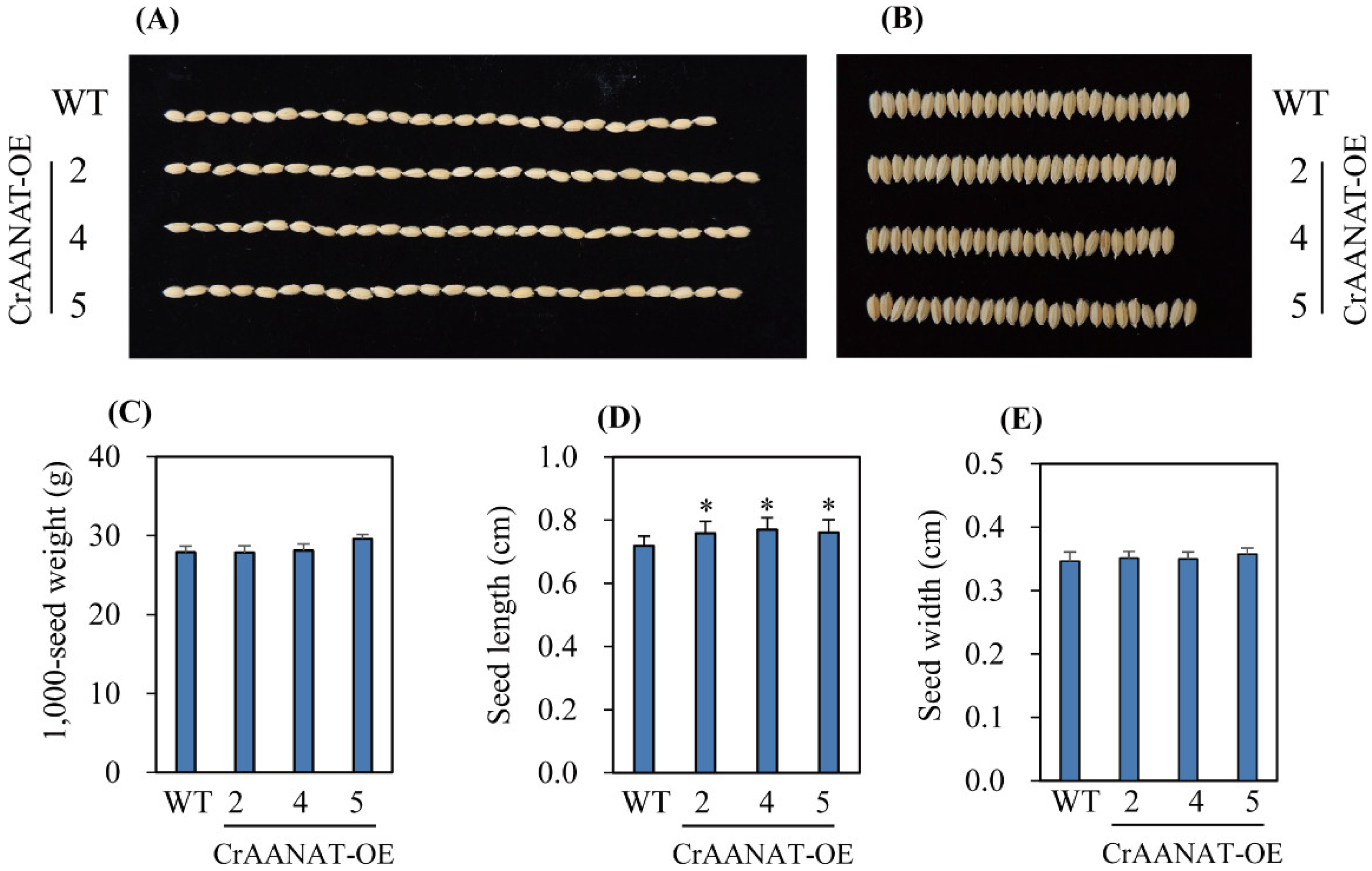 Antioxidants 11 01531 g007
