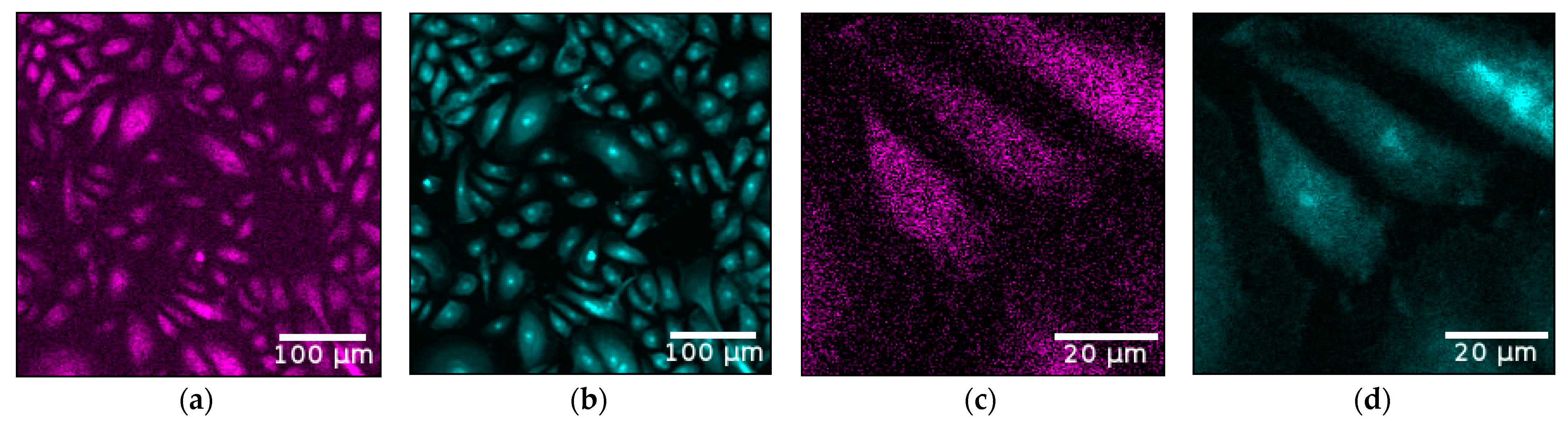 Antioxidants 11 01532 g006