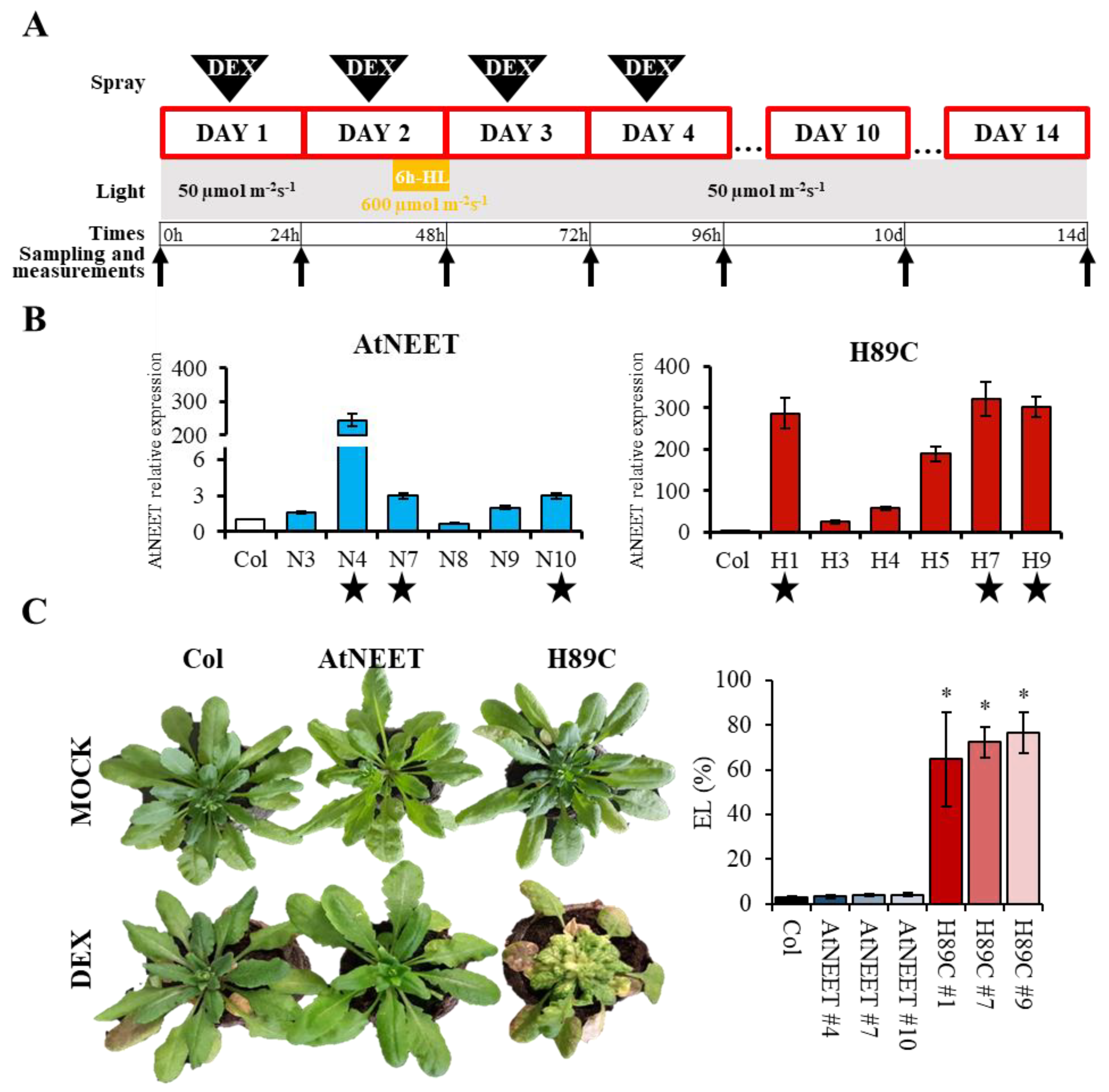 Antioxidants 11 01533 g001 550