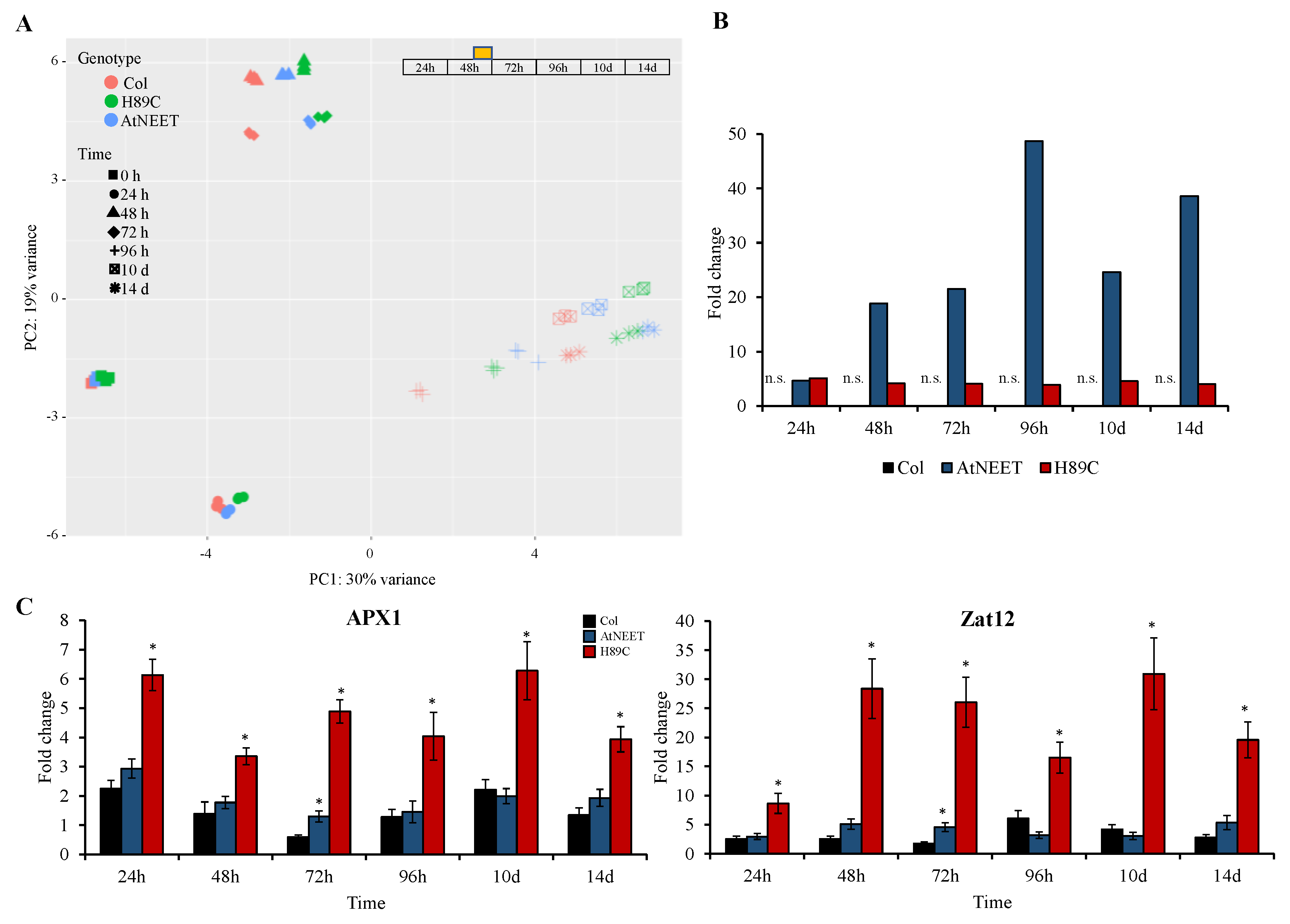 Antioxidants 11 01533 g003 550