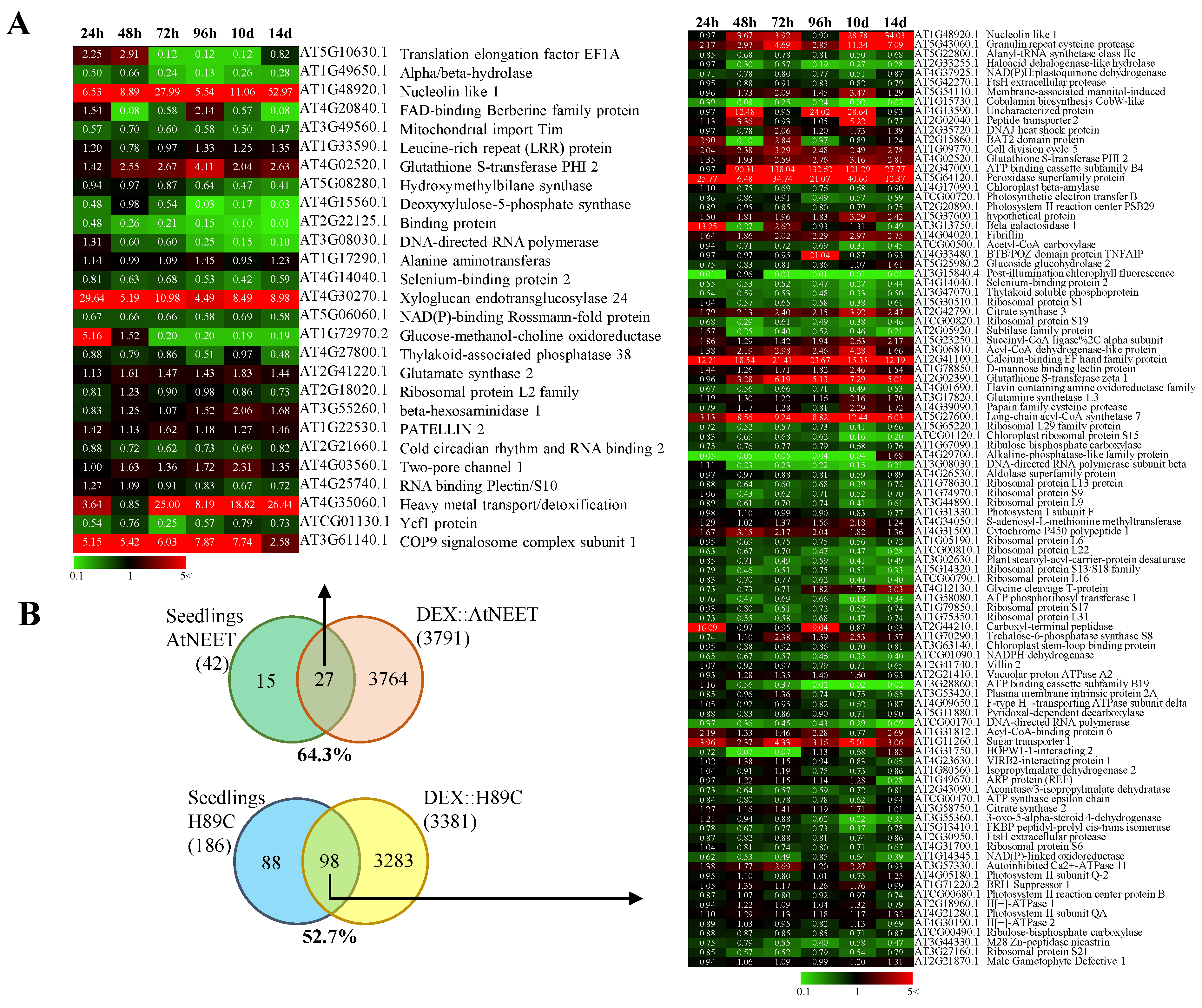 Antioxidants 11 01533 g004 550