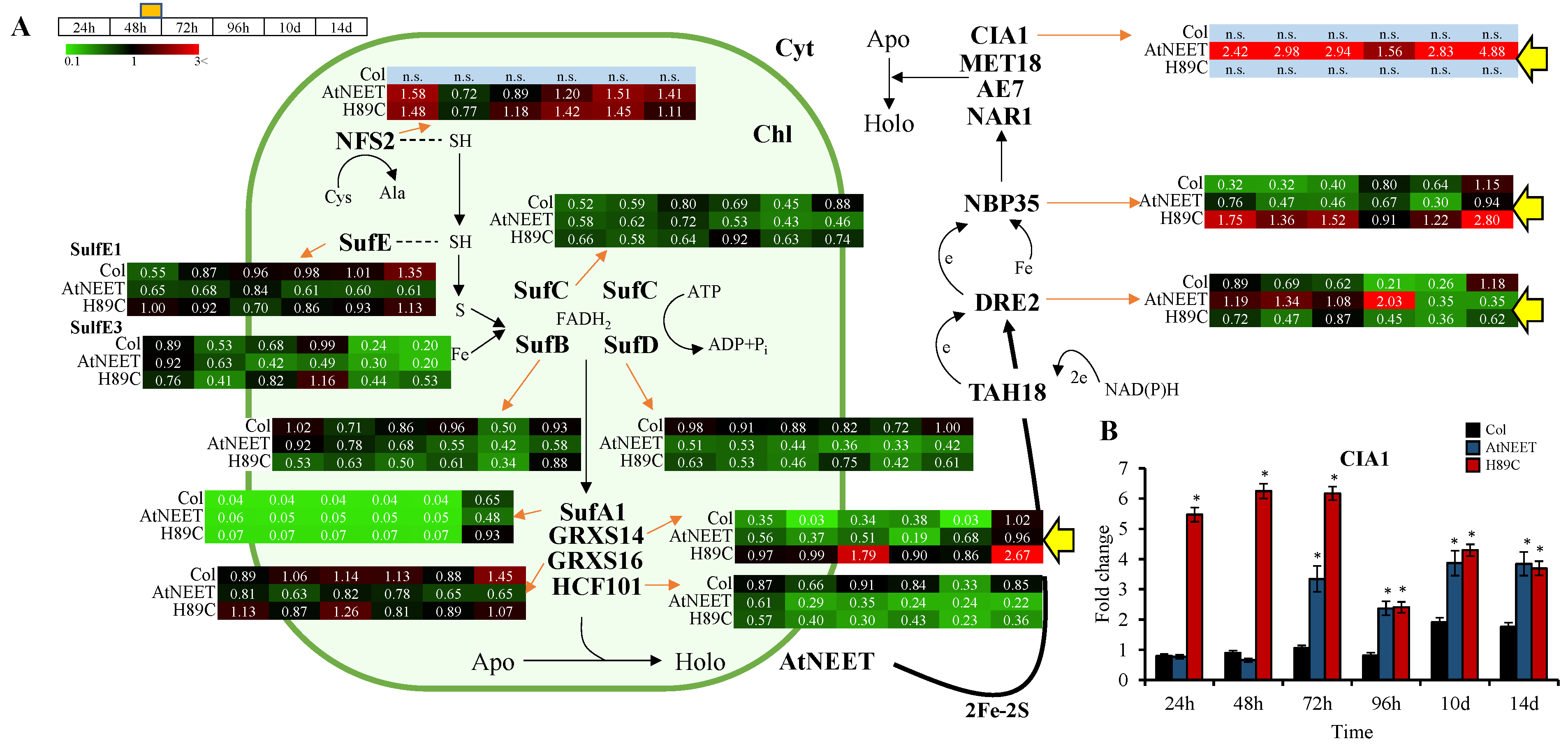 Antioxidants 11 01533 g005 550