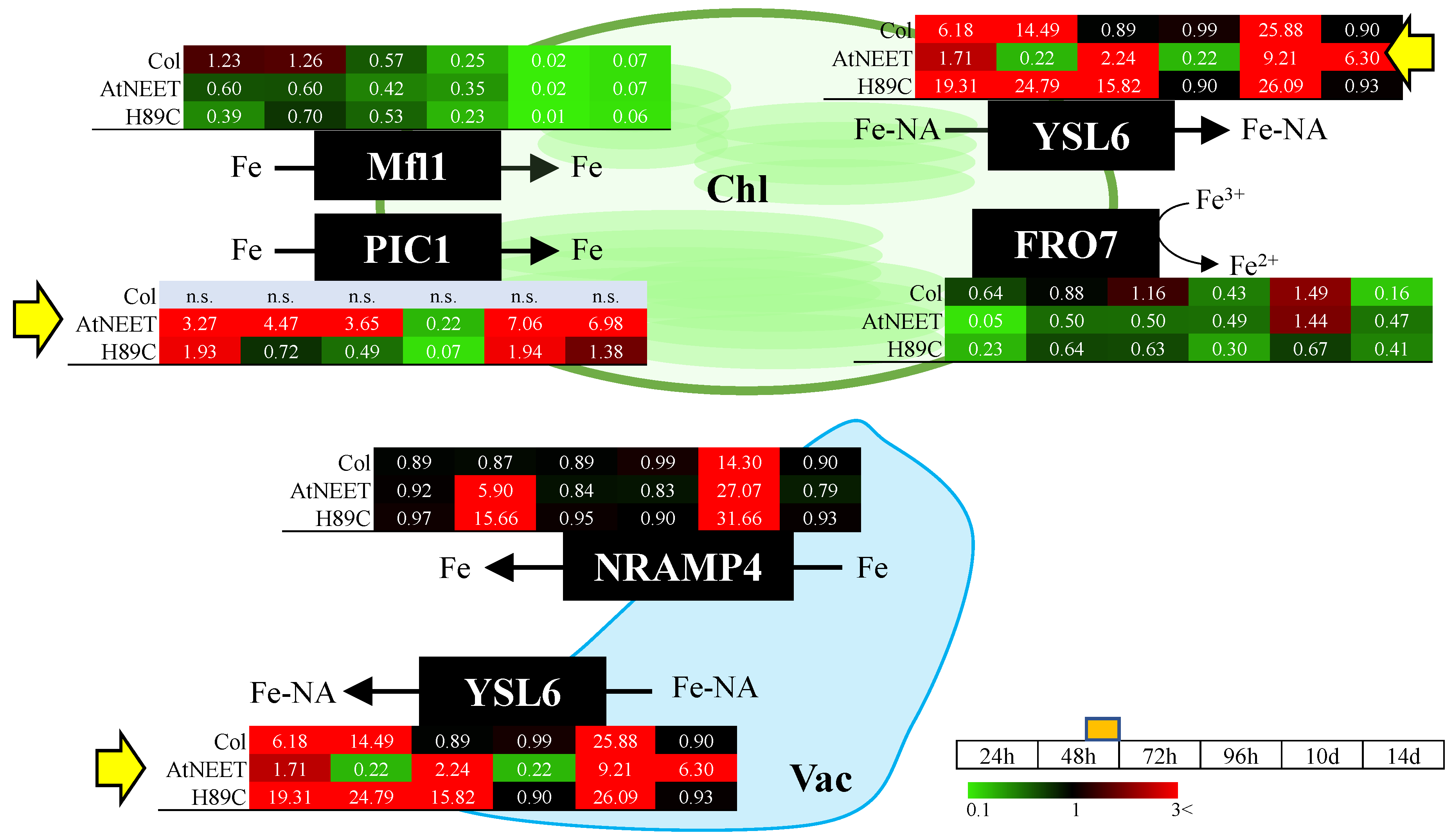 Antioxidants 11 01533 g006 550