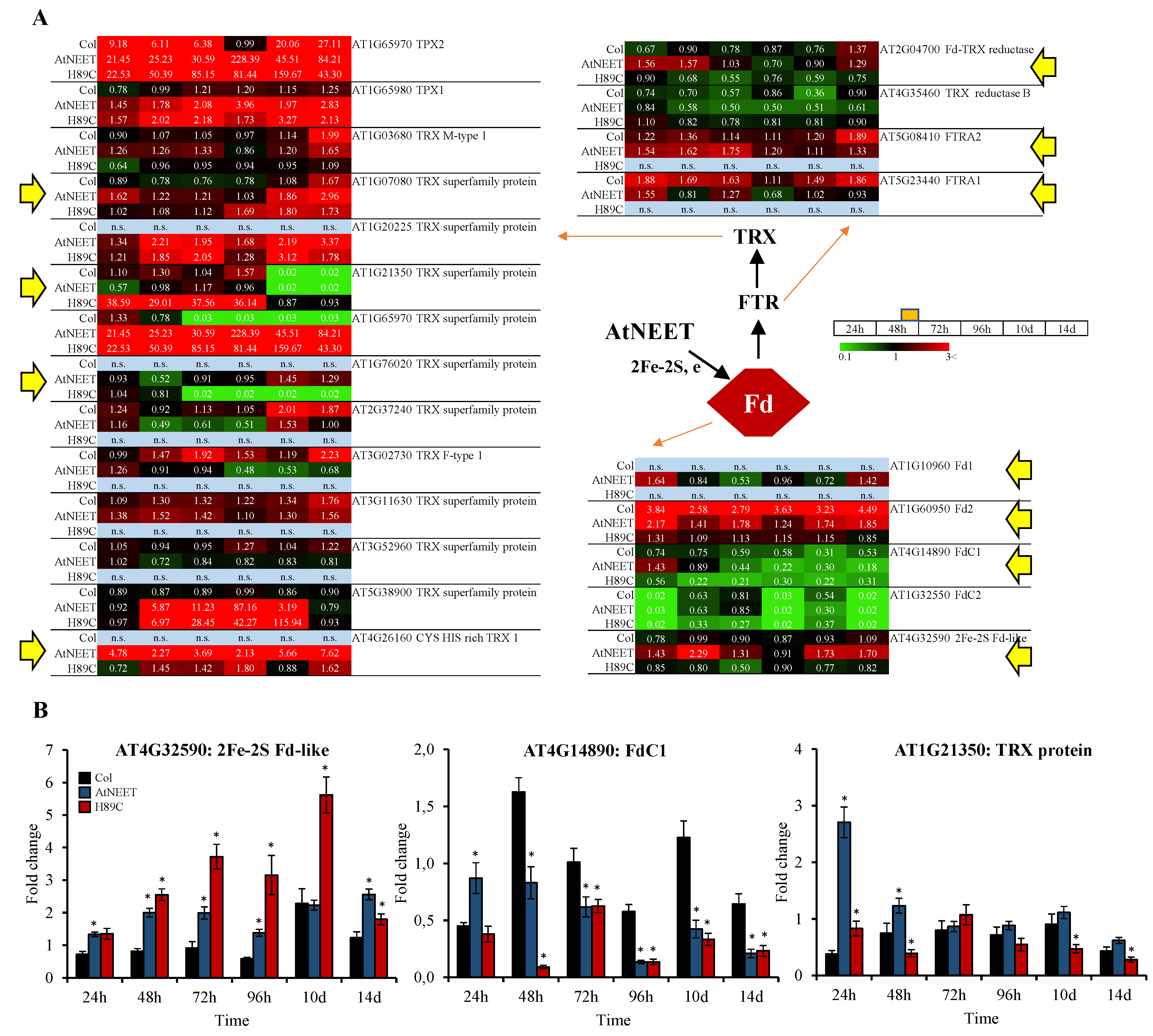 Antioxidants 11 01533 g007 550