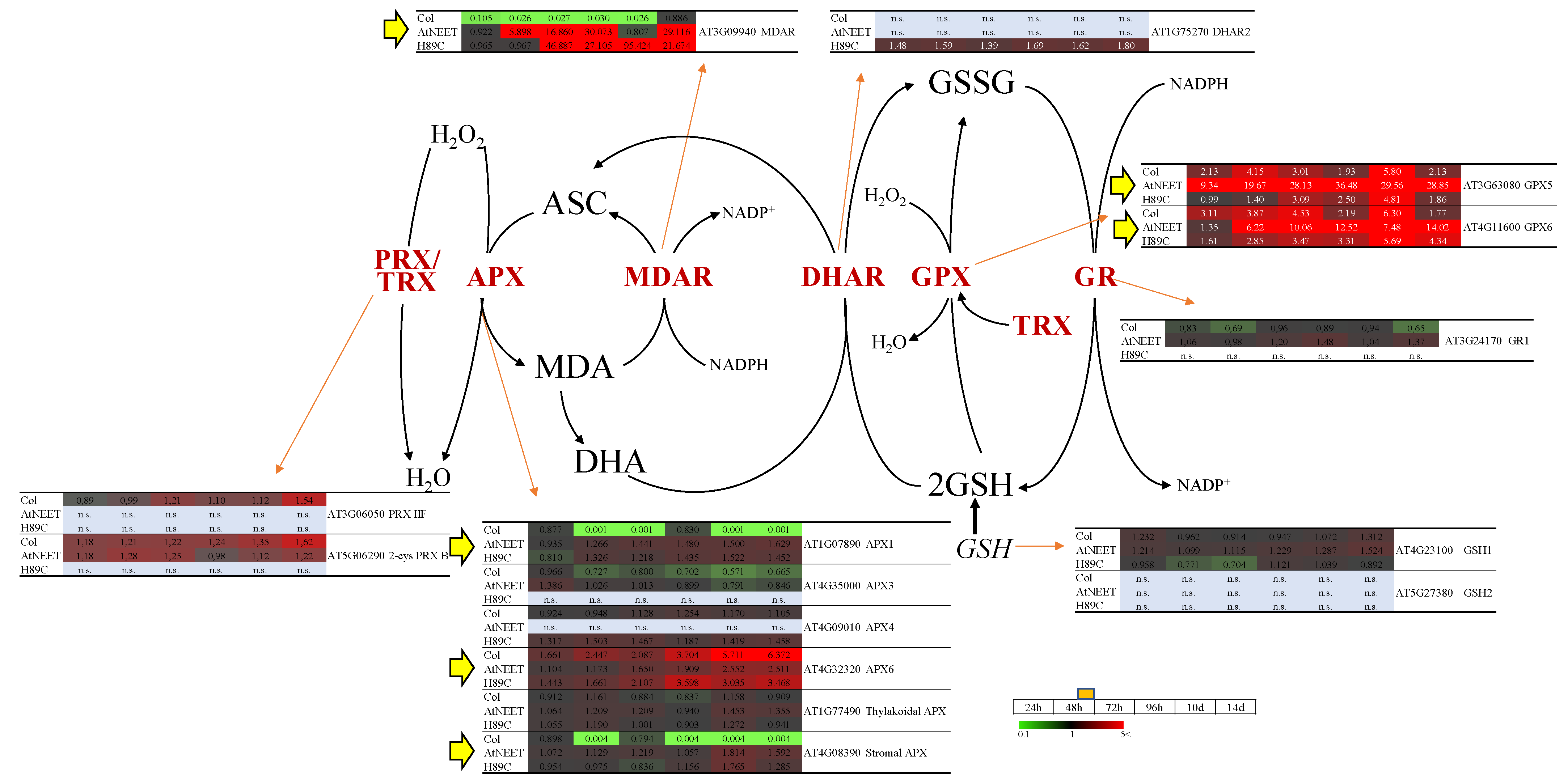 Antioxidants 11 01533 g008 550