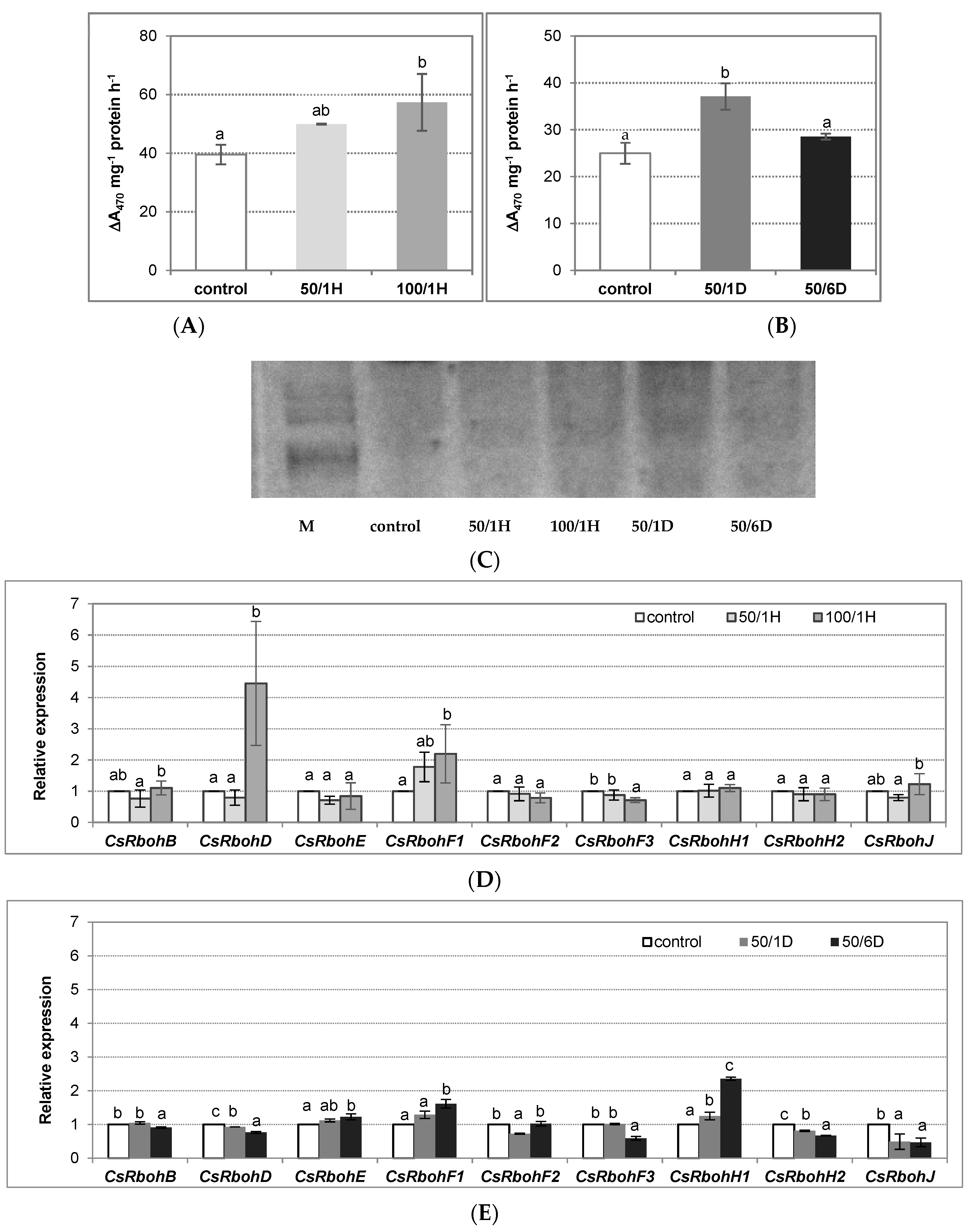 Antioxidants 11 01534 g002 Antioxidants 11 01534 g002