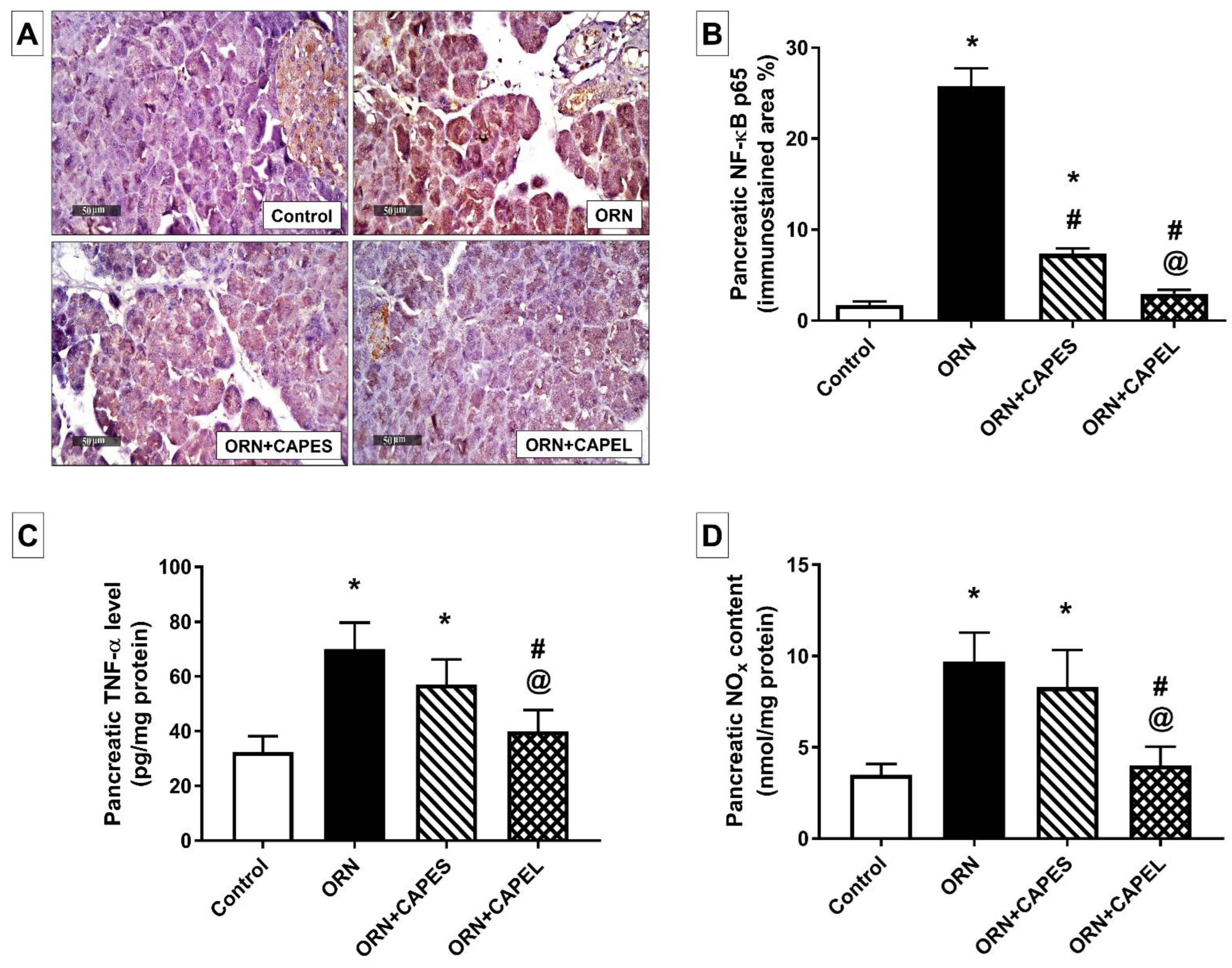 Antioxidants 11 01536 g005 Antioxidants 11 01536 g005