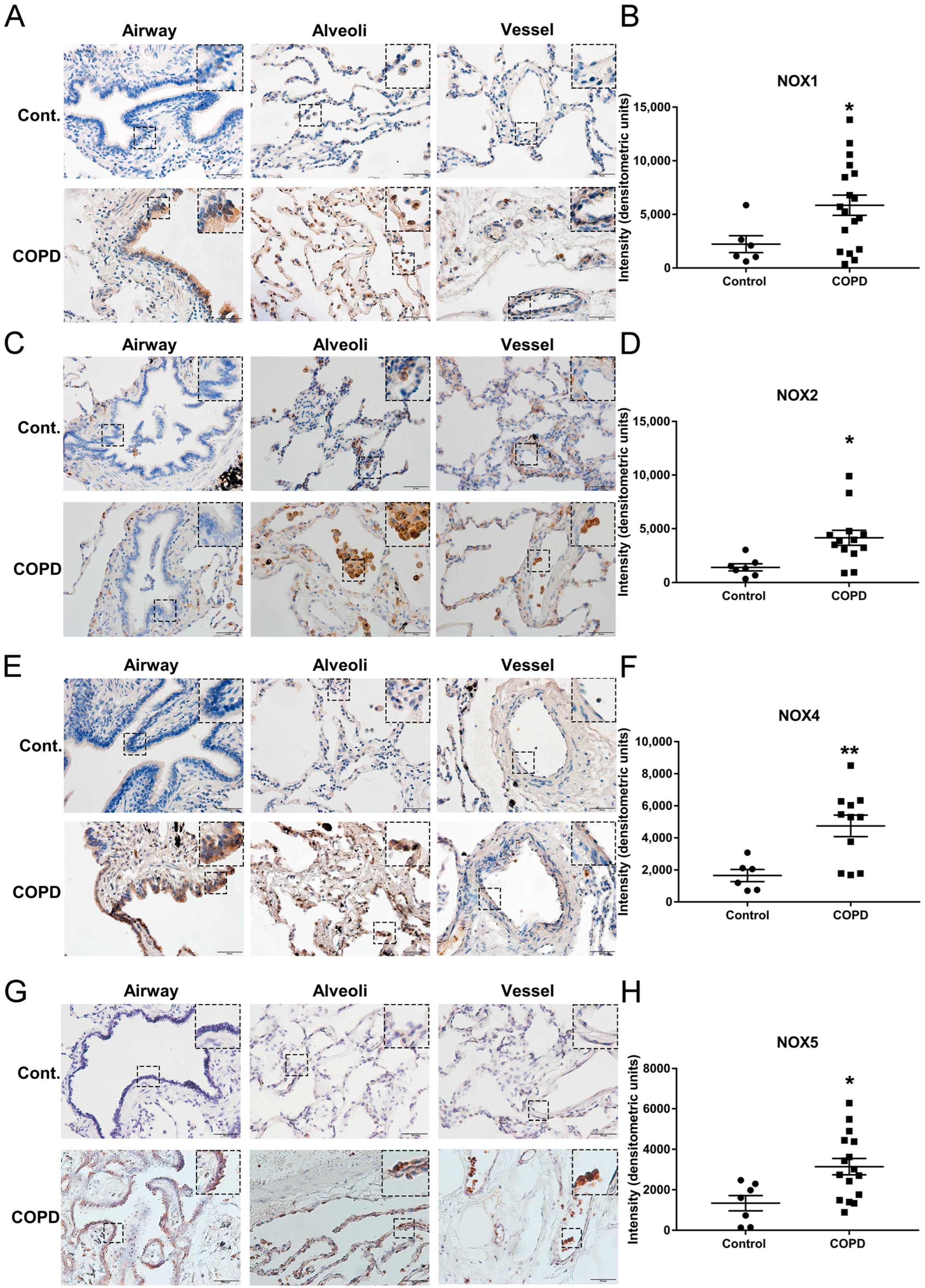 Antioxidants 11 01539 g001 550