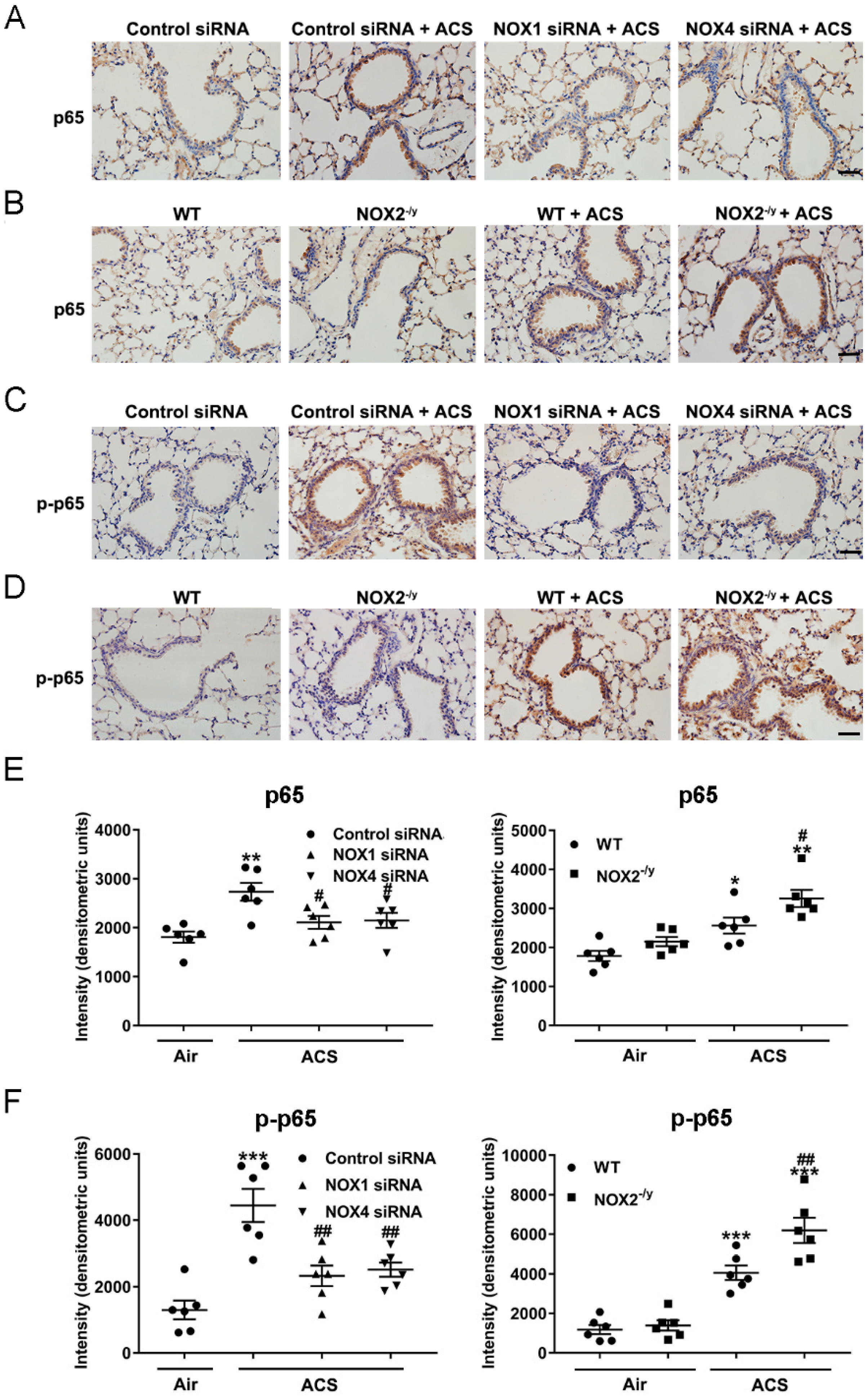 Antioxidants 11 01539 g007 550