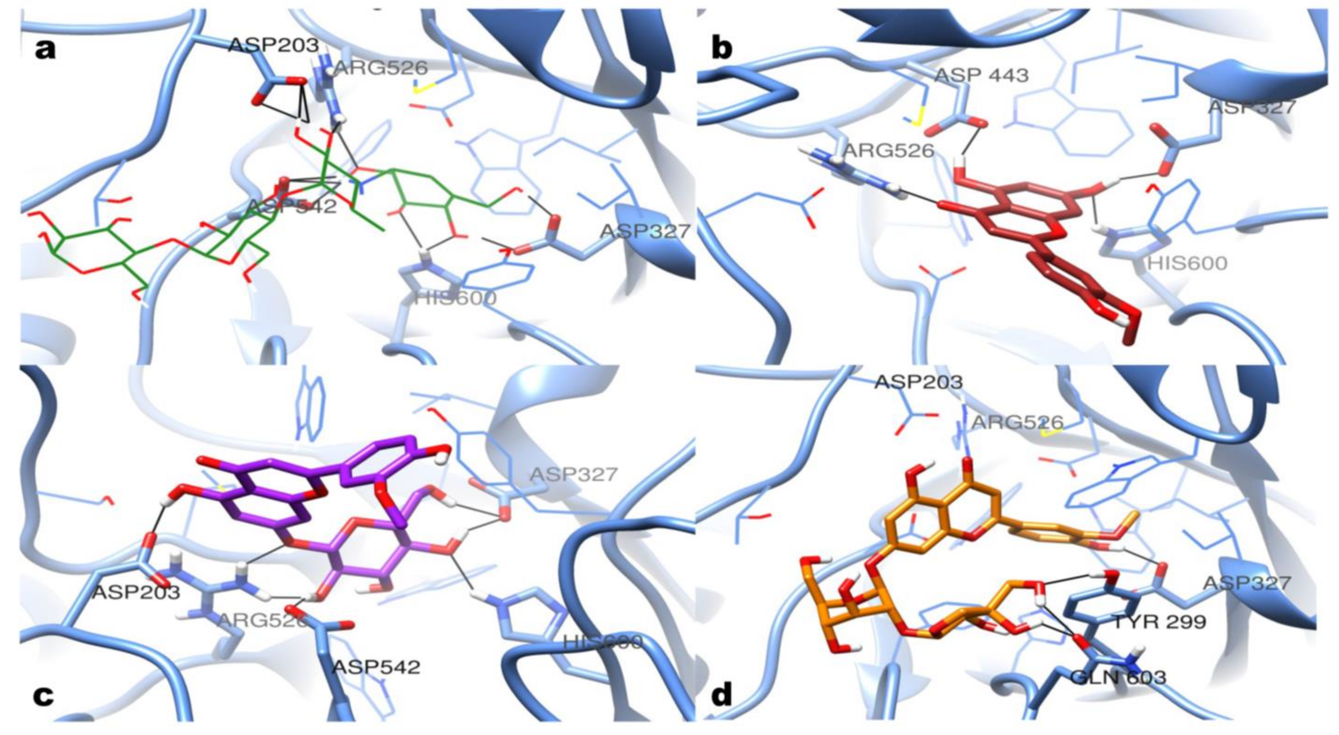 Antioxidants 11 01542 g003