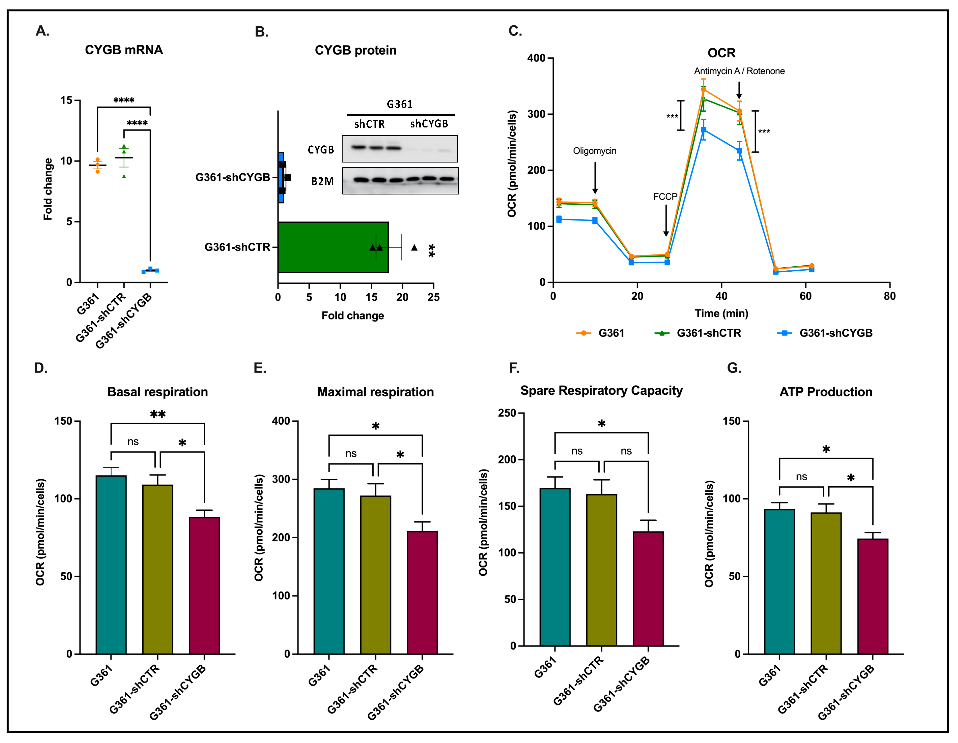 Antioxidants 11 01548 g001 550