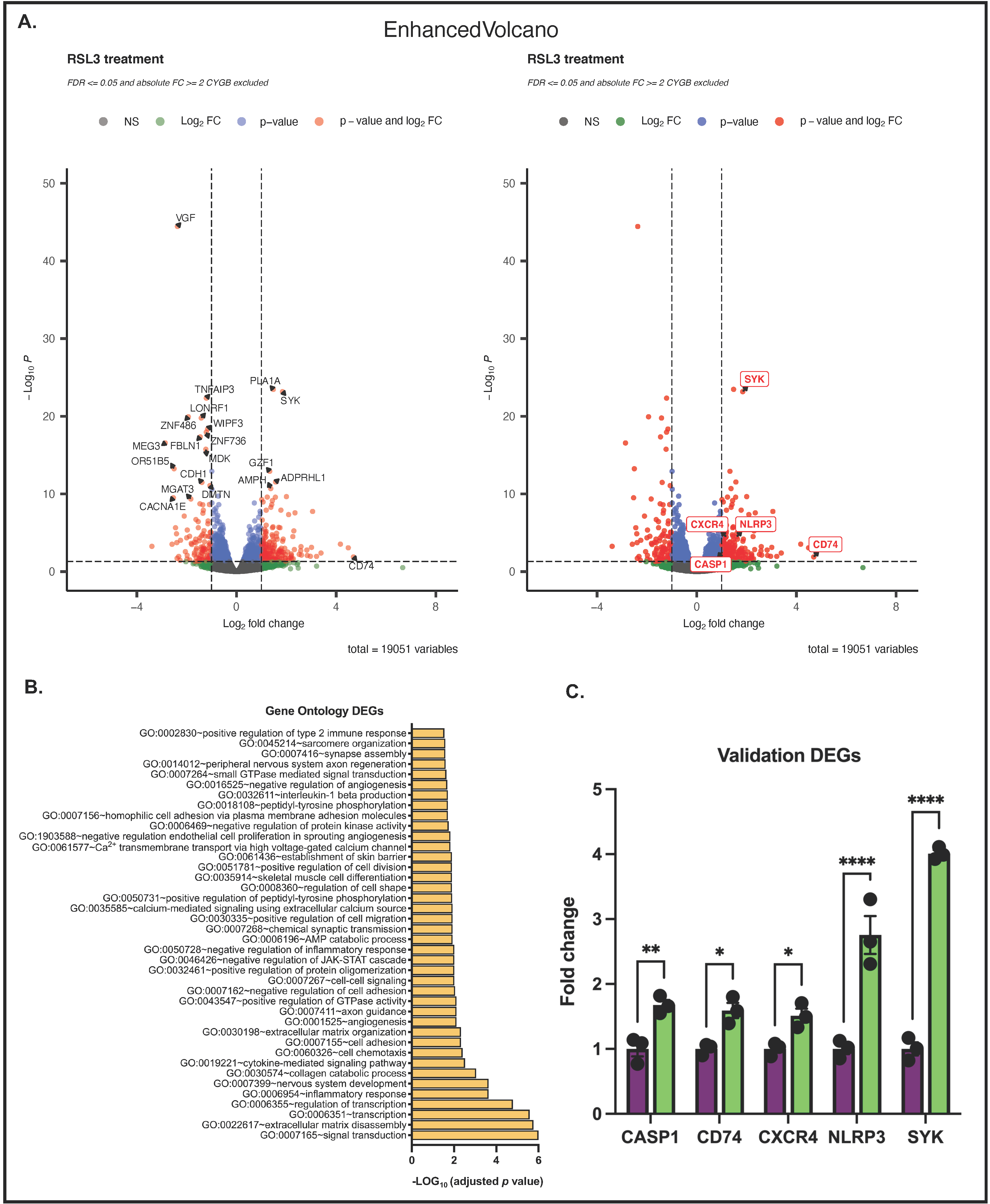 Antioxidants 11 01548 g007 550