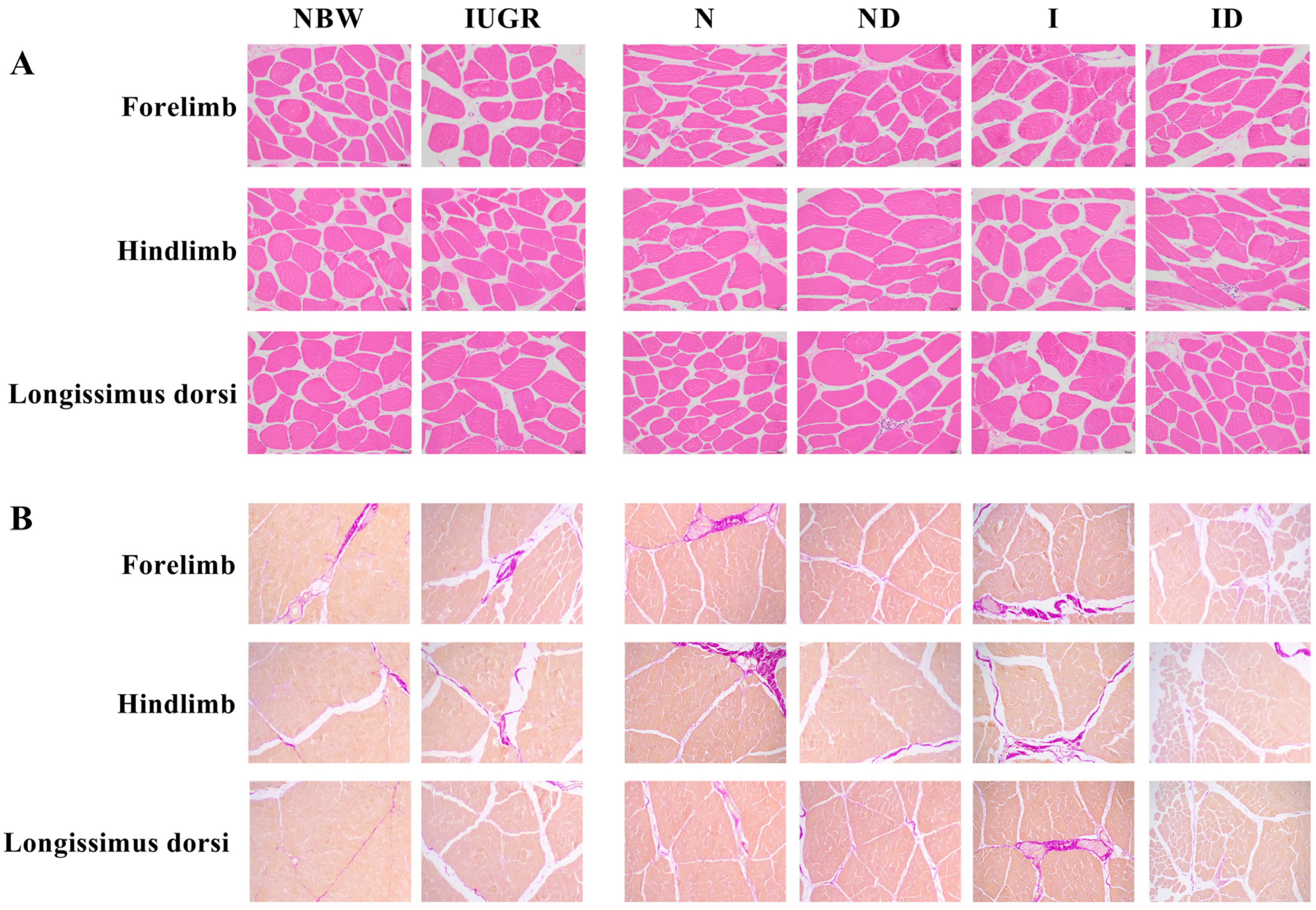 Antioxidants 11 01550 g001