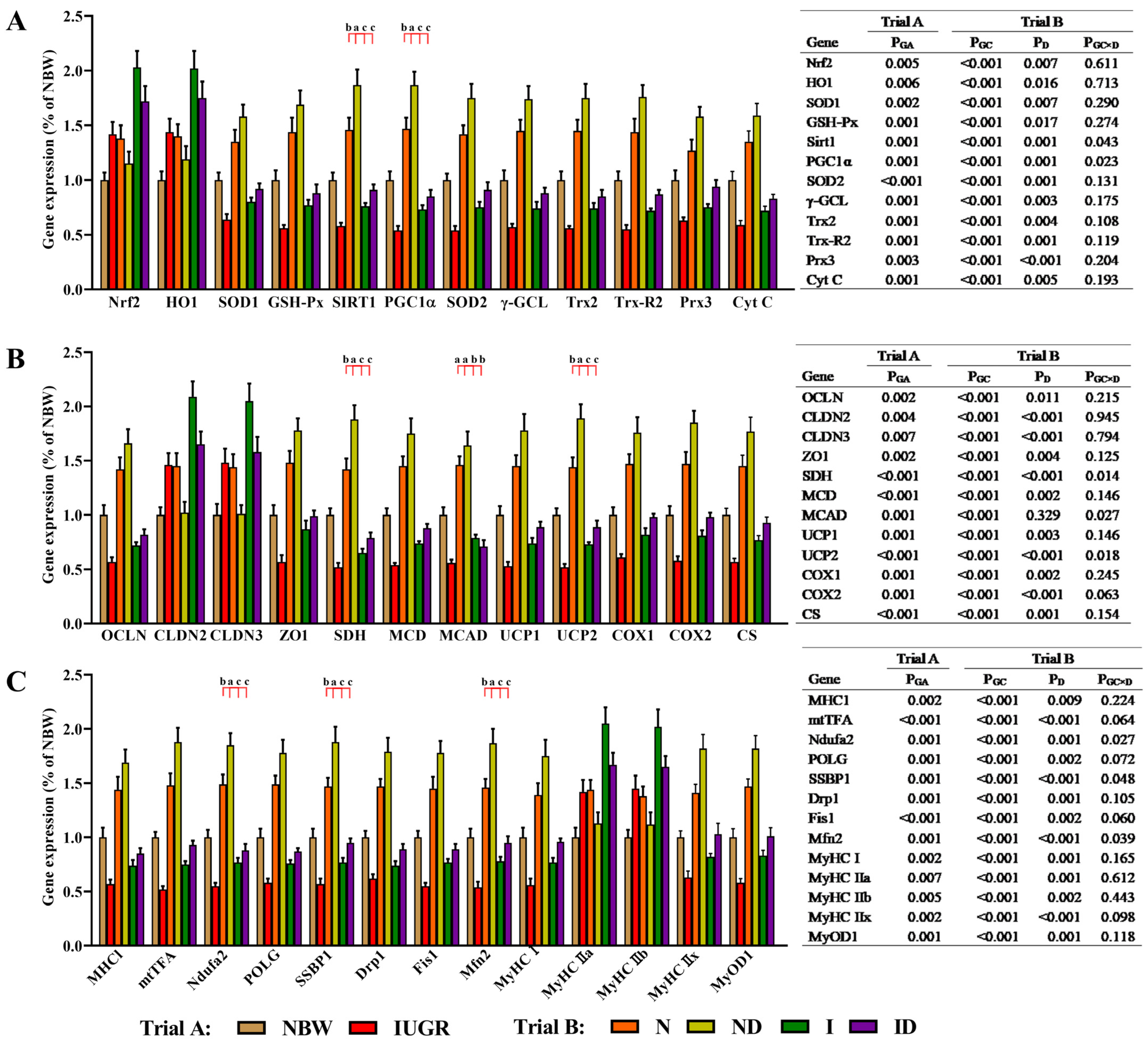 Antioxidants 11 01550 g008