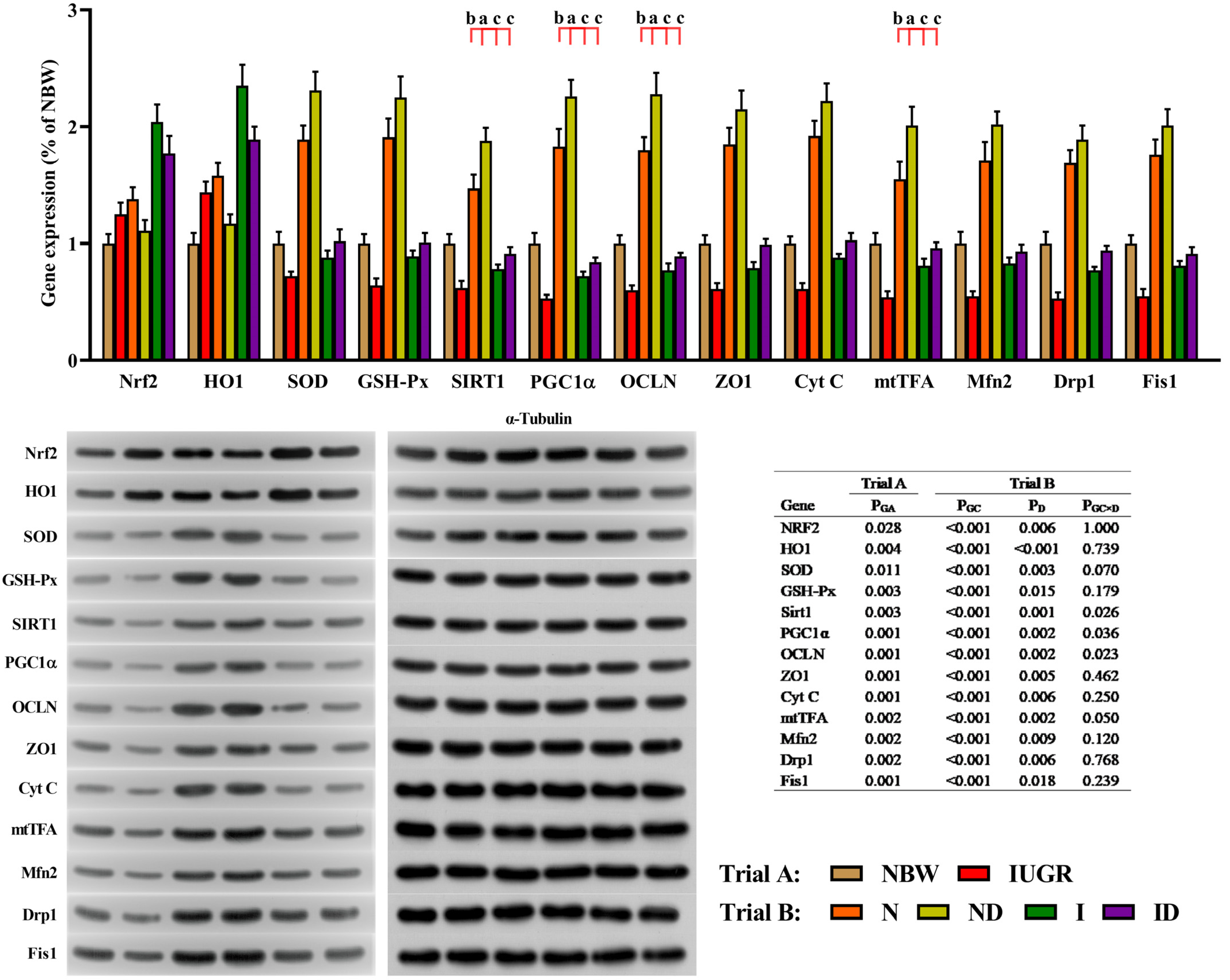 Antioxidants 11 01550 g009