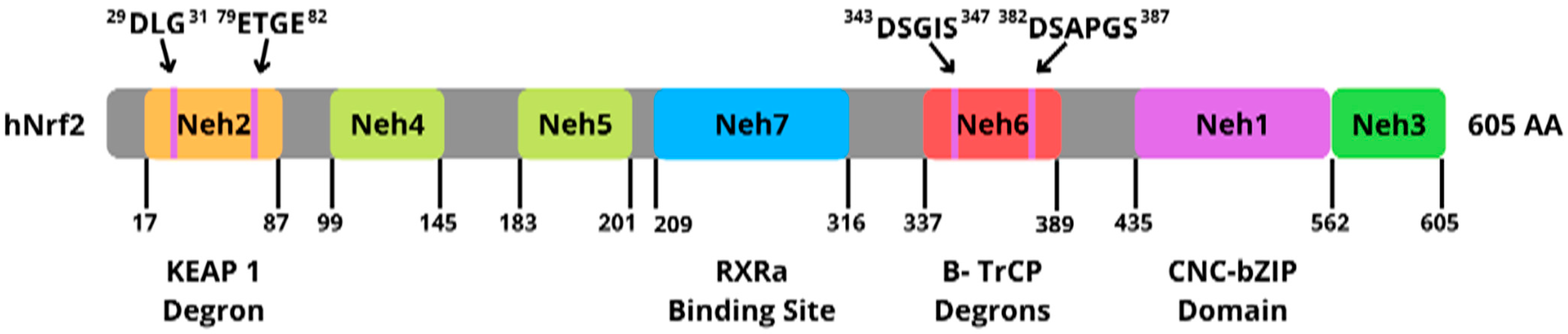 Antioxidants 11 01551 g004 550