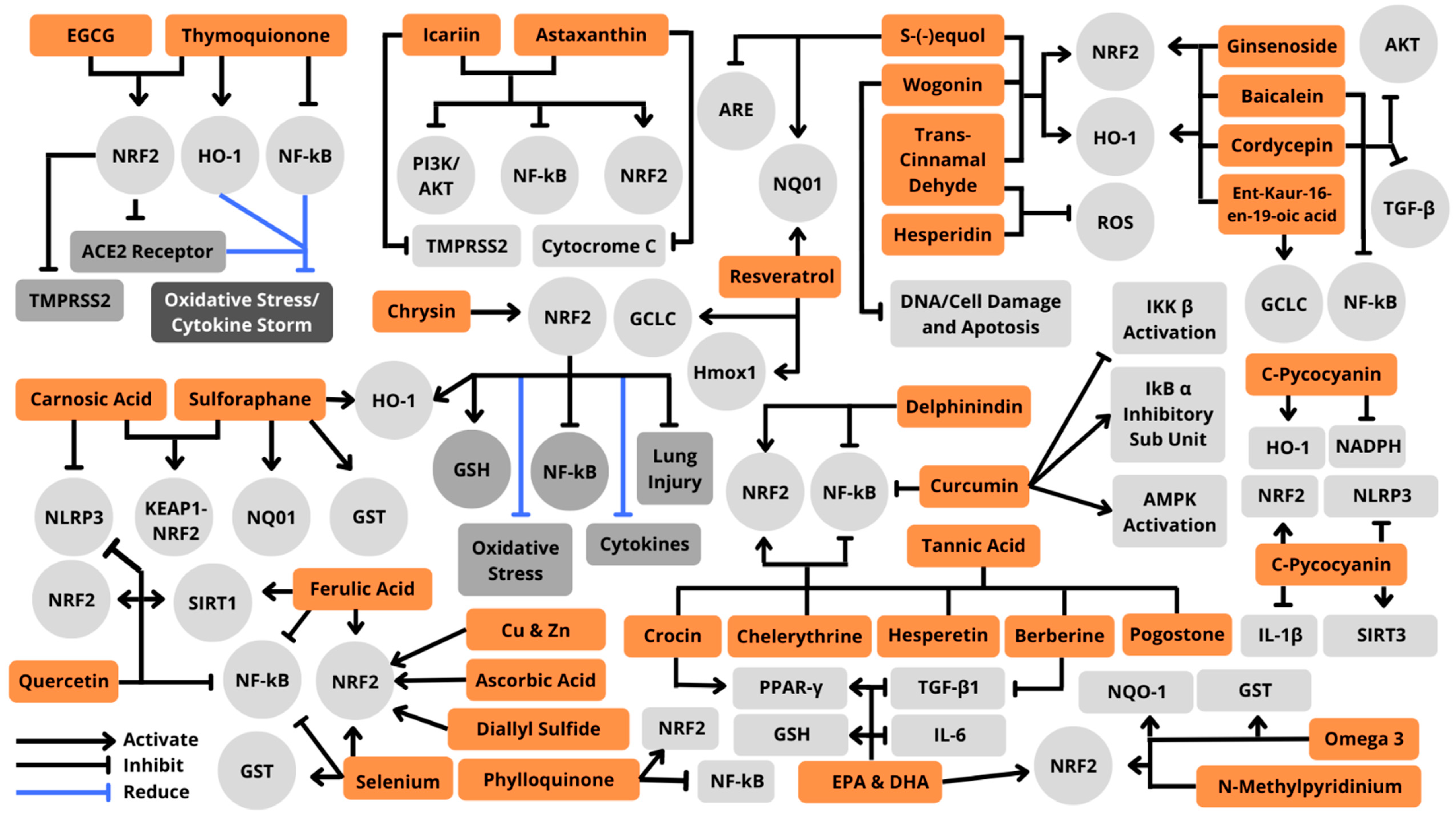 Antioxidants 11 01551 g009 550