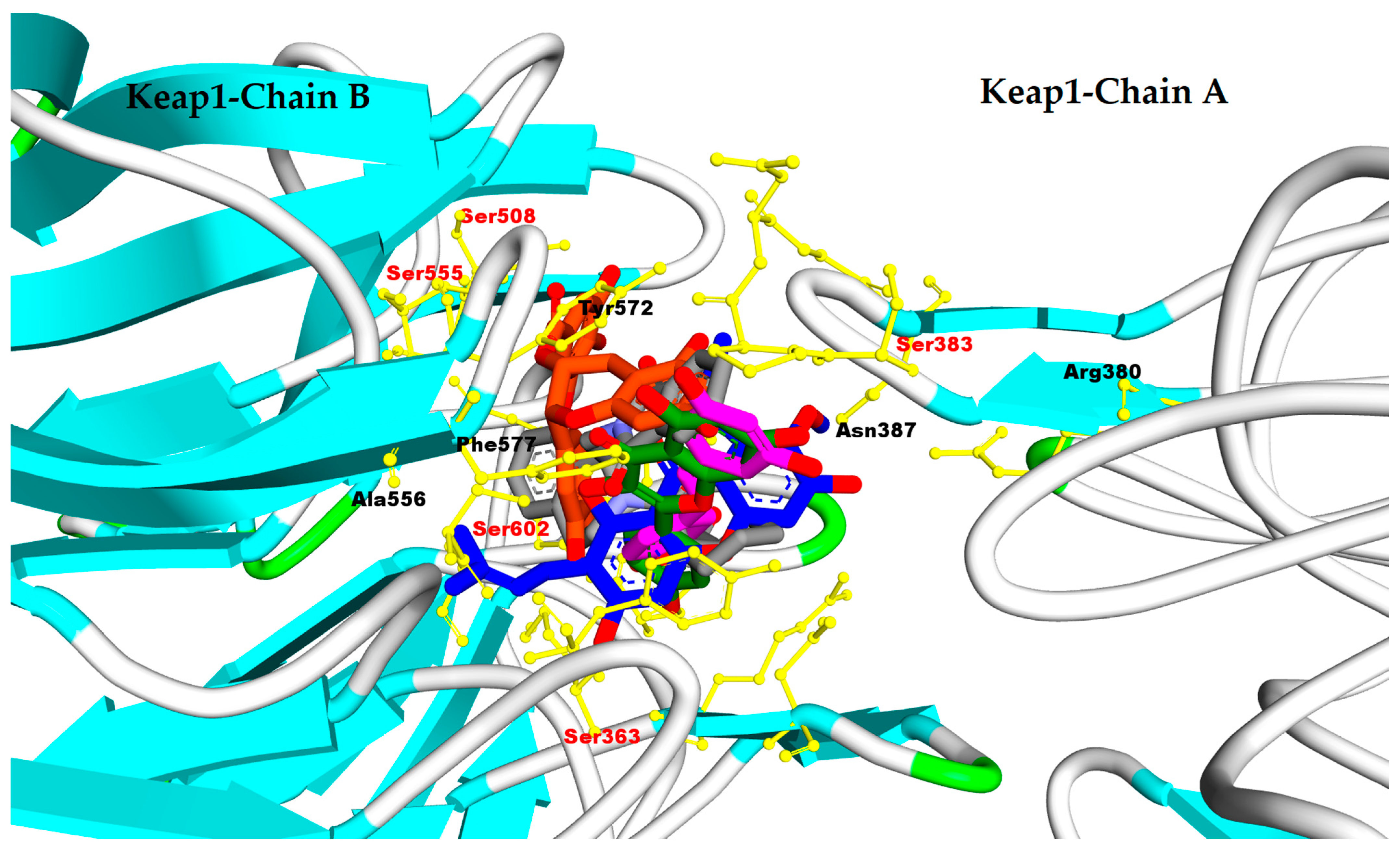 Antioxidants 11 01551 g011 550