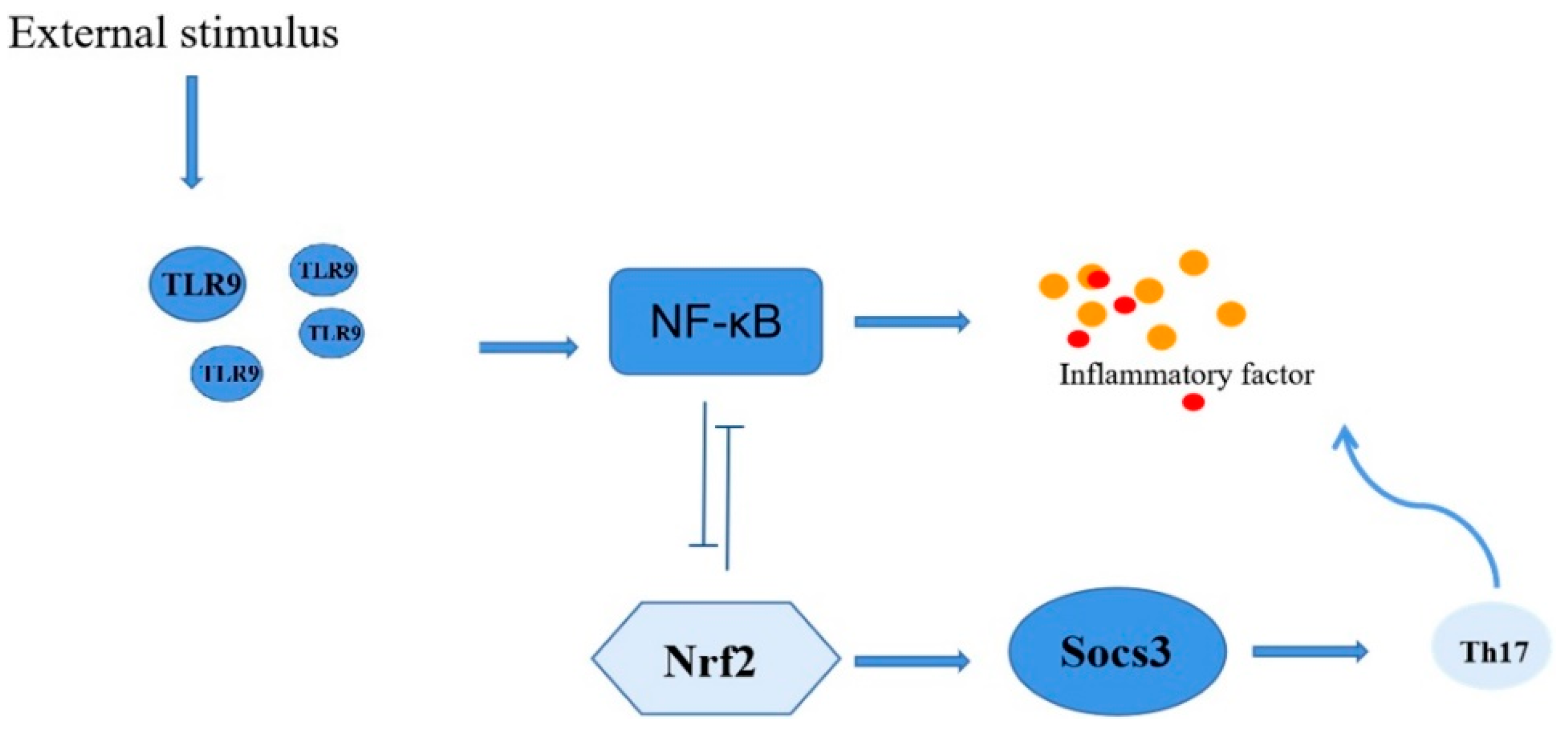 Antioxidants 11 01564 g006 Antioxidants 11 01564 g006
