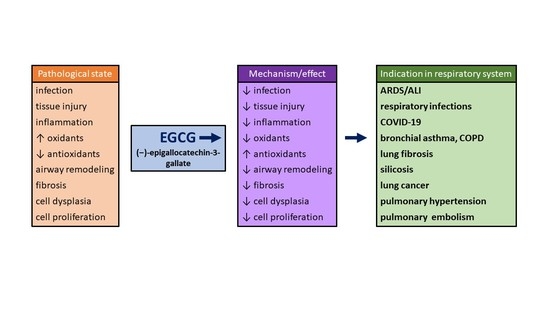 ecgc wiki