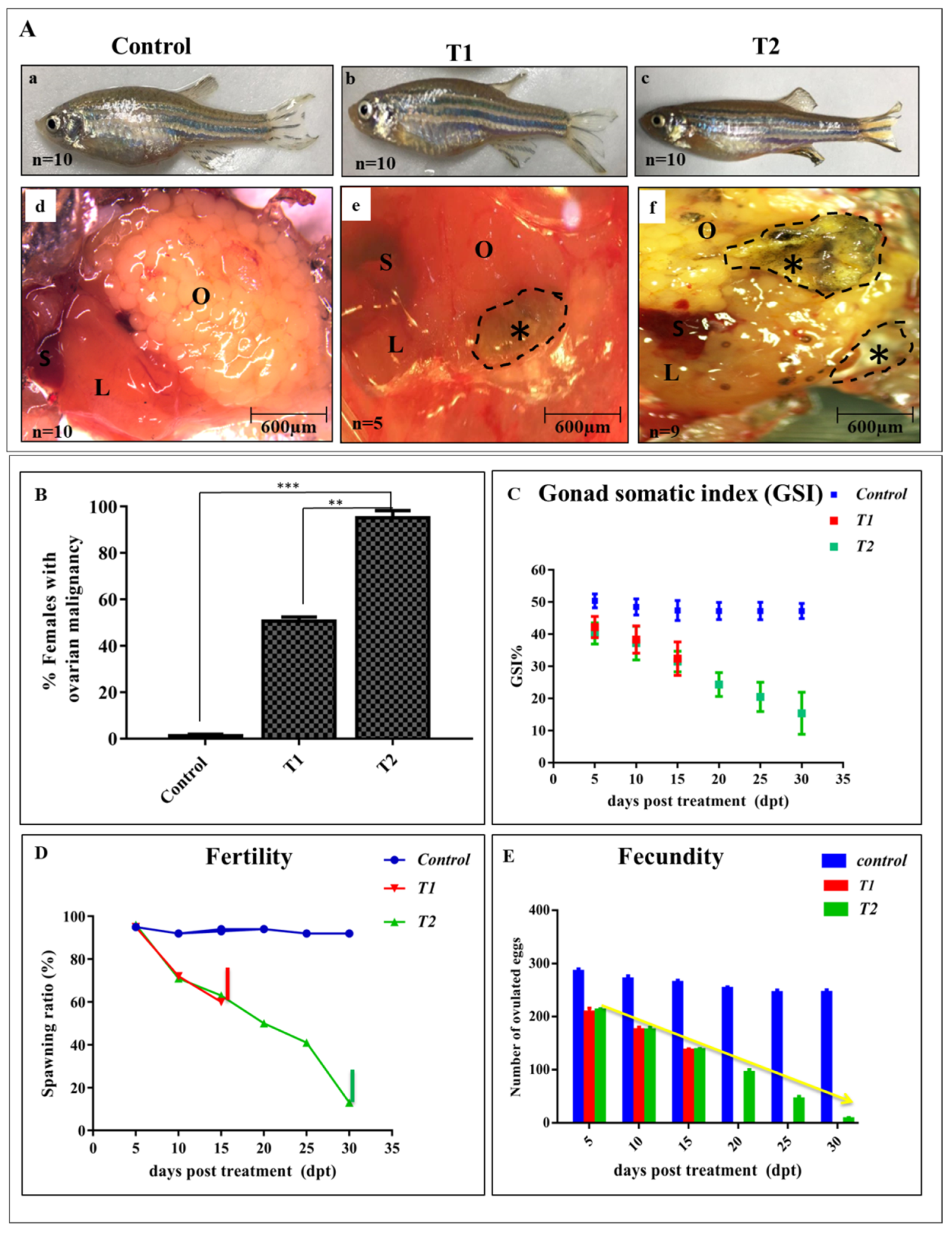 Antioxidants 11 01567 g002 Antioxidants 11 01567 g002