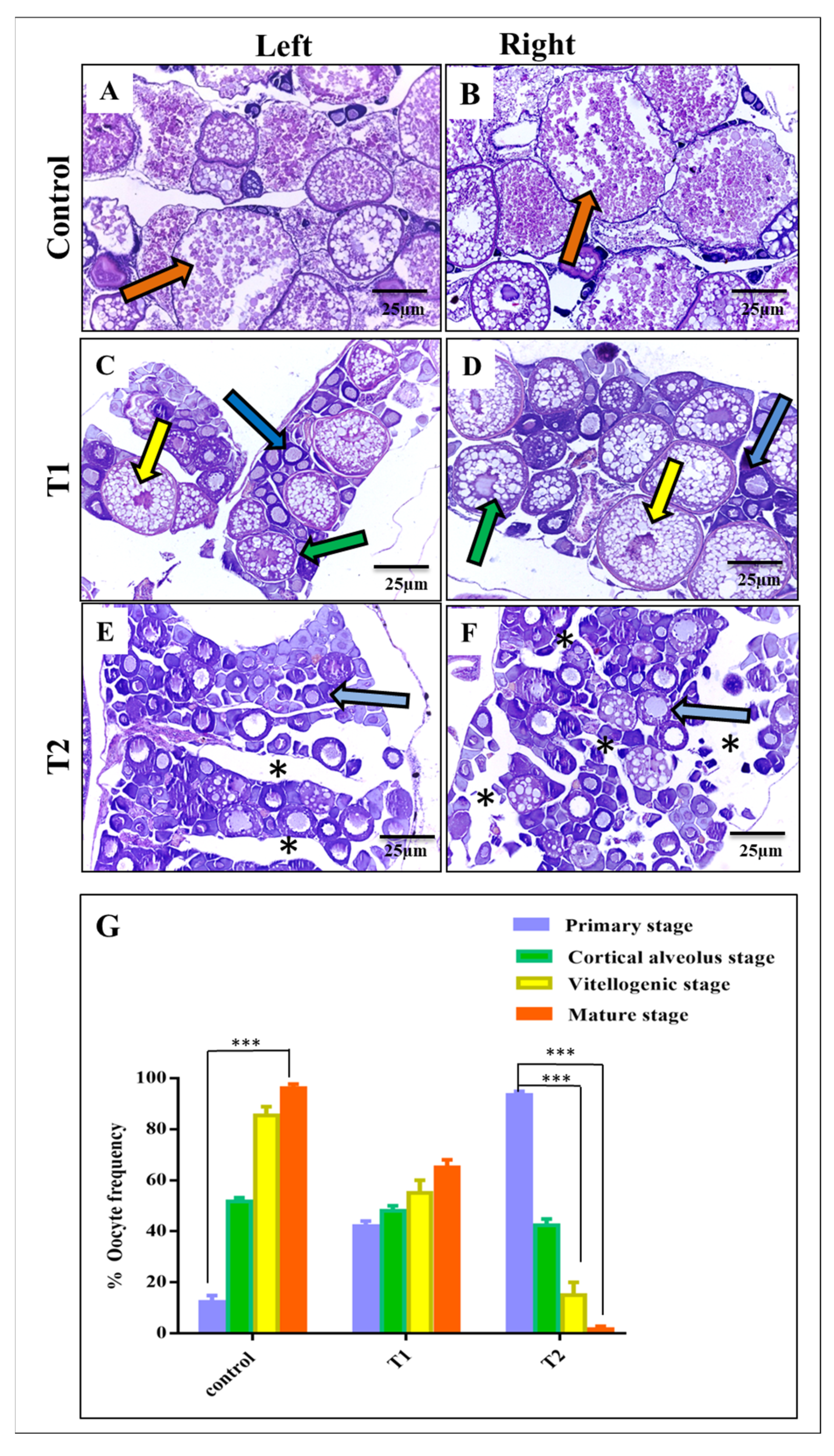 Antioxidants 11 01567 g004 Antioxidants 11 01567 g004