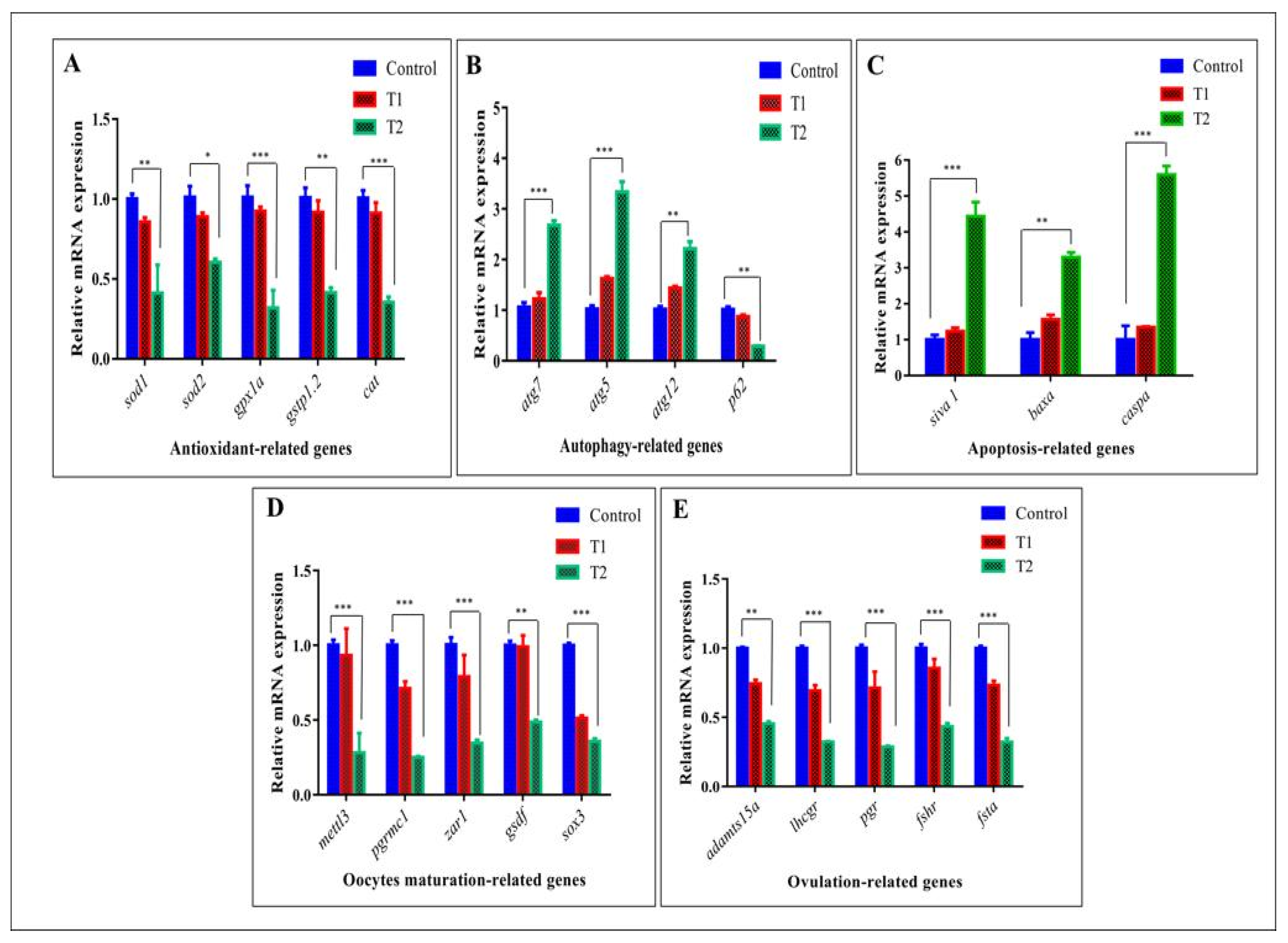 Antioxidants 11 01567 g007 Antioxidants 11 01567 g007
