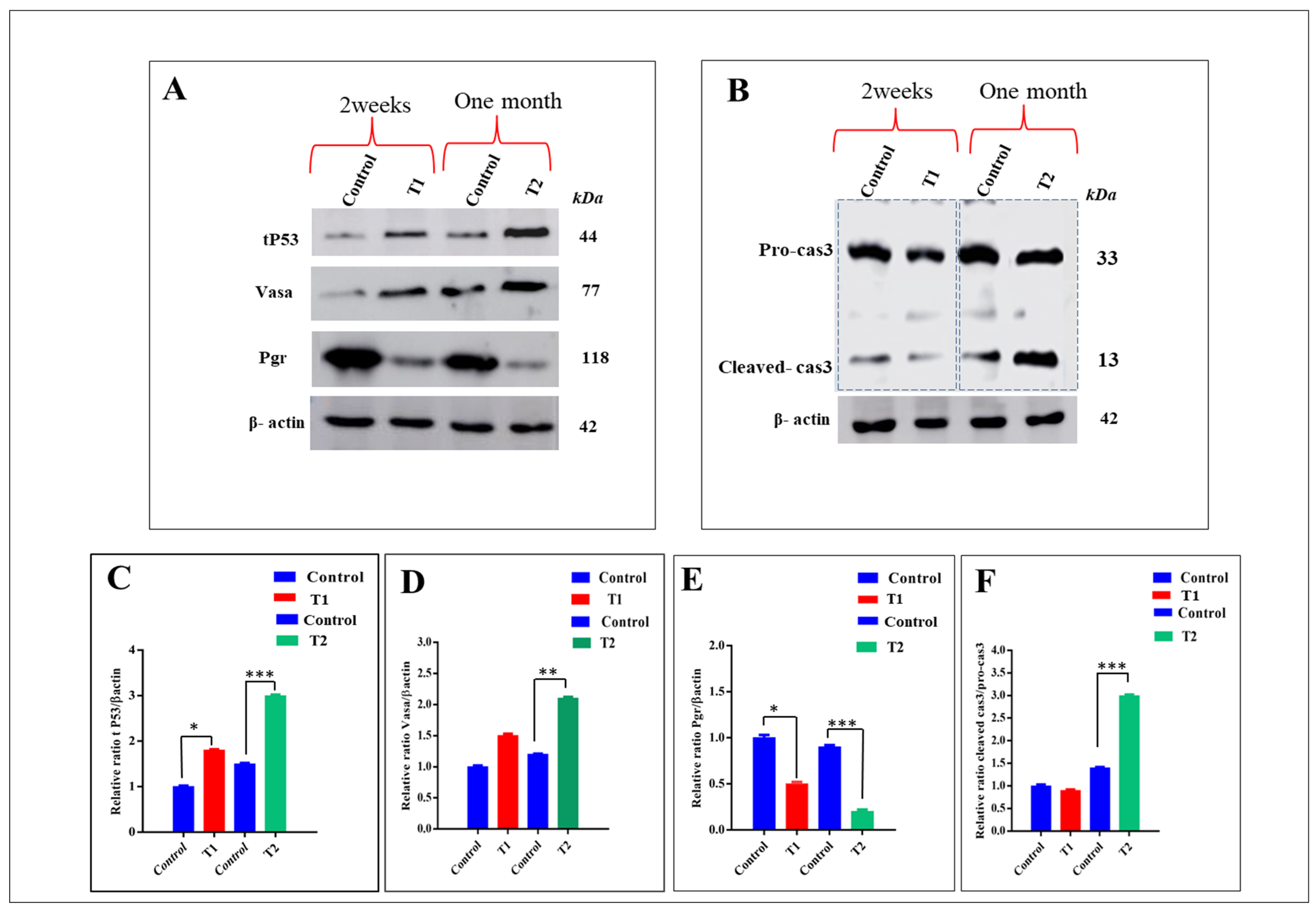 Antioxidants 11 01567 g008 Antioxidants 11 01567 g008