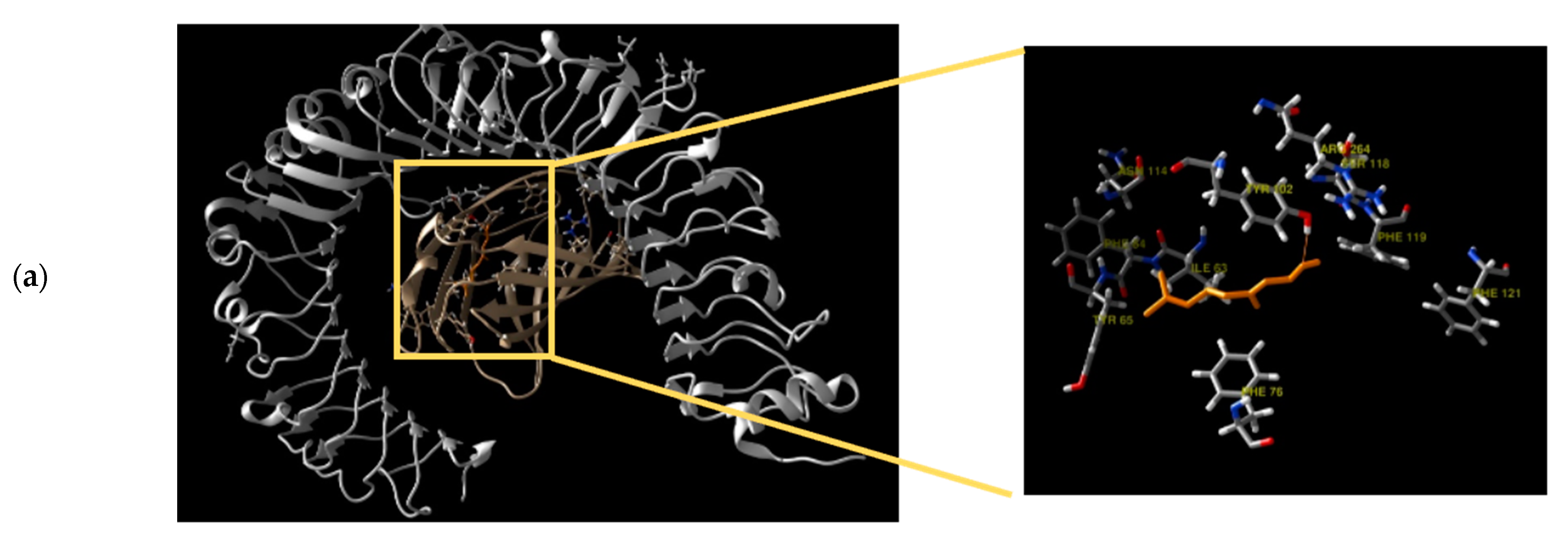 Antioxidants 11 01568 g004a Antioxidants 11 01568 g004a
