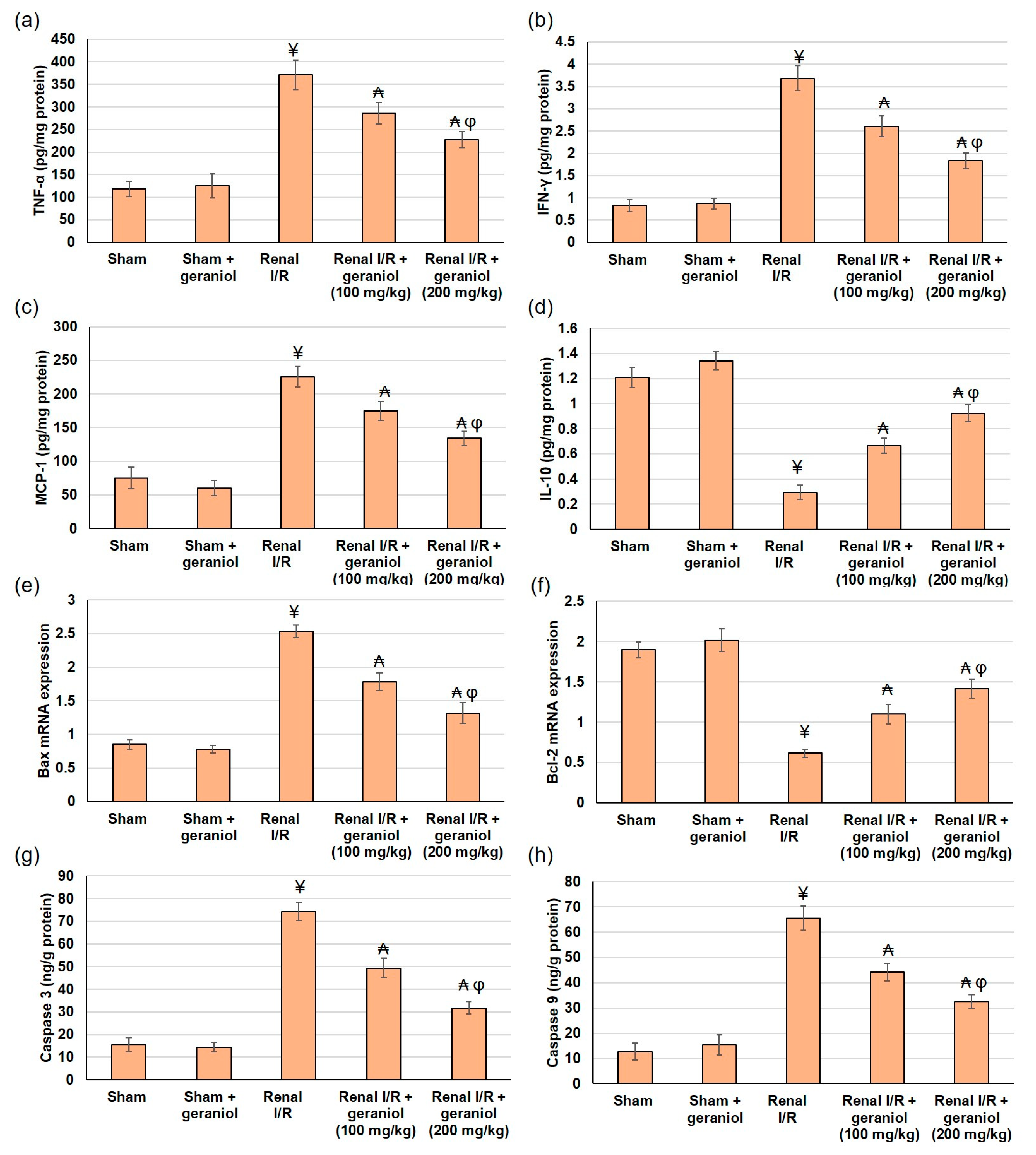 Antioxidants 11 01568 g007 Antioxidants 11 01568 g007
