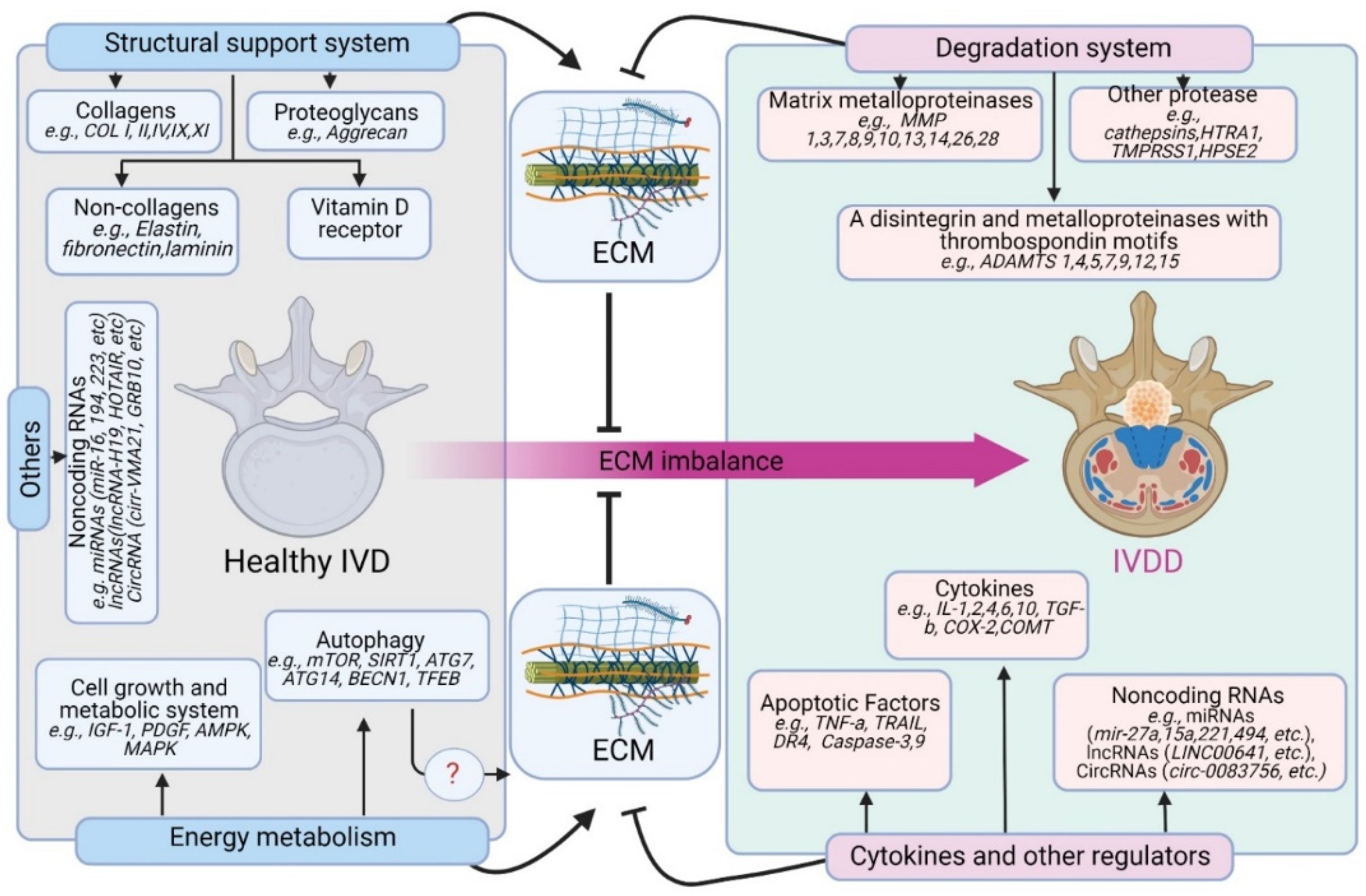 Antioxidants 11 01571 g002 Antioxidants 11 01571 g002