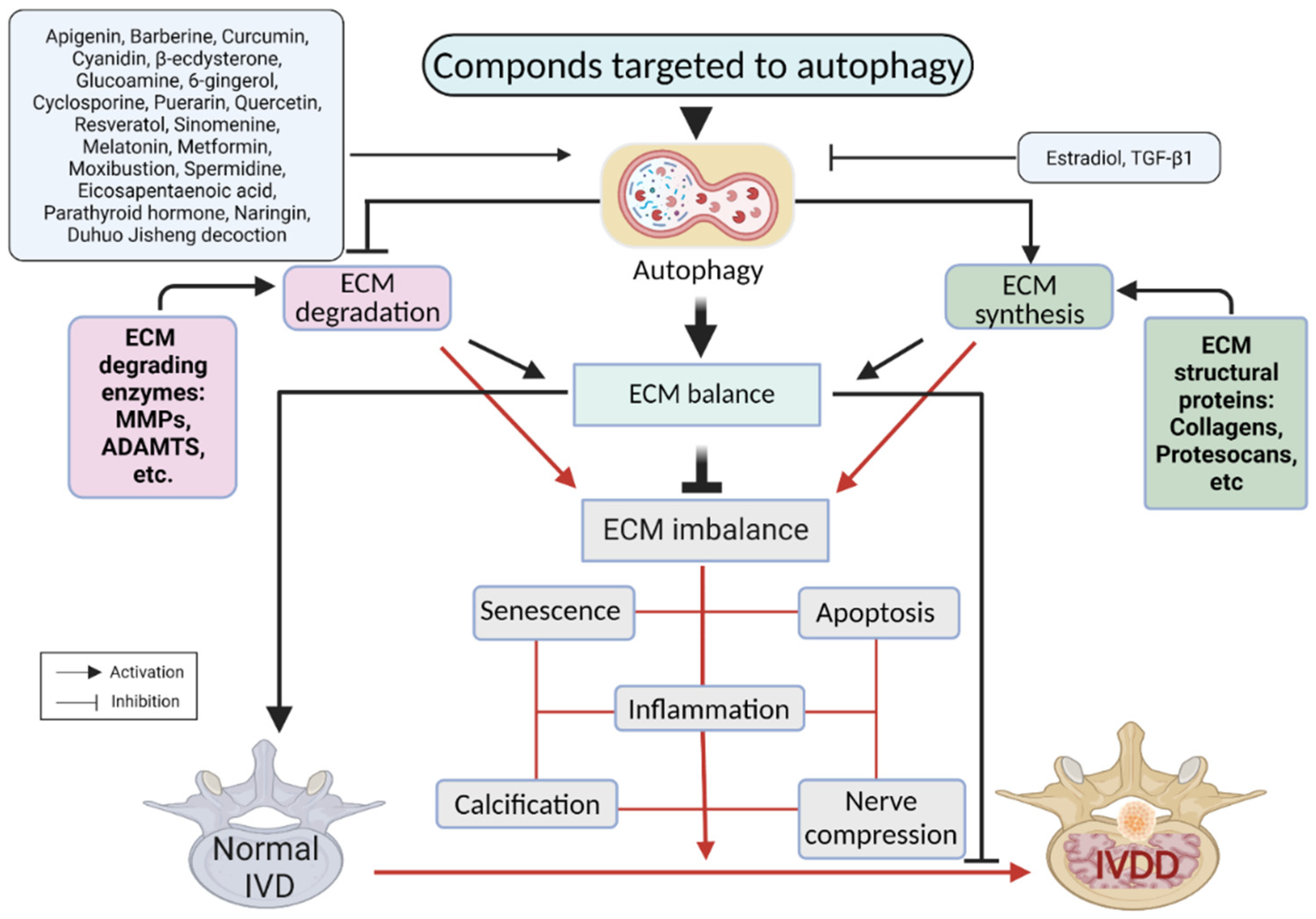 Antioxidants 11 01571 g005 Antioxidants 11 01571 g005