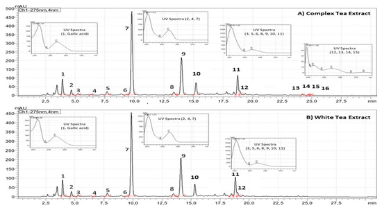 Supplementation with Two New Standardized Tea Extracts